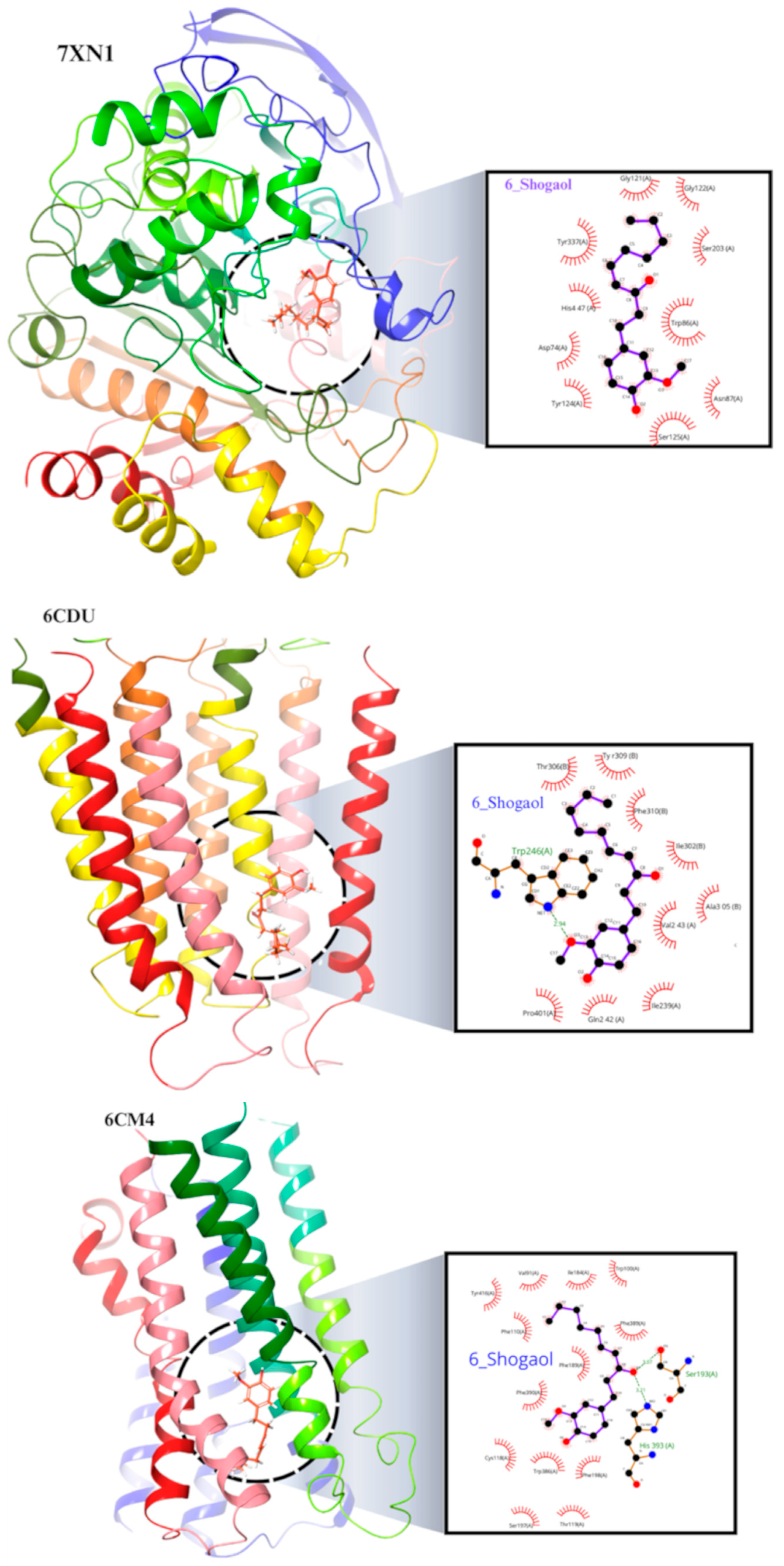 Pharmaceuticals 17 01348 g011a Pharmaceuticals 17 01348 g011a