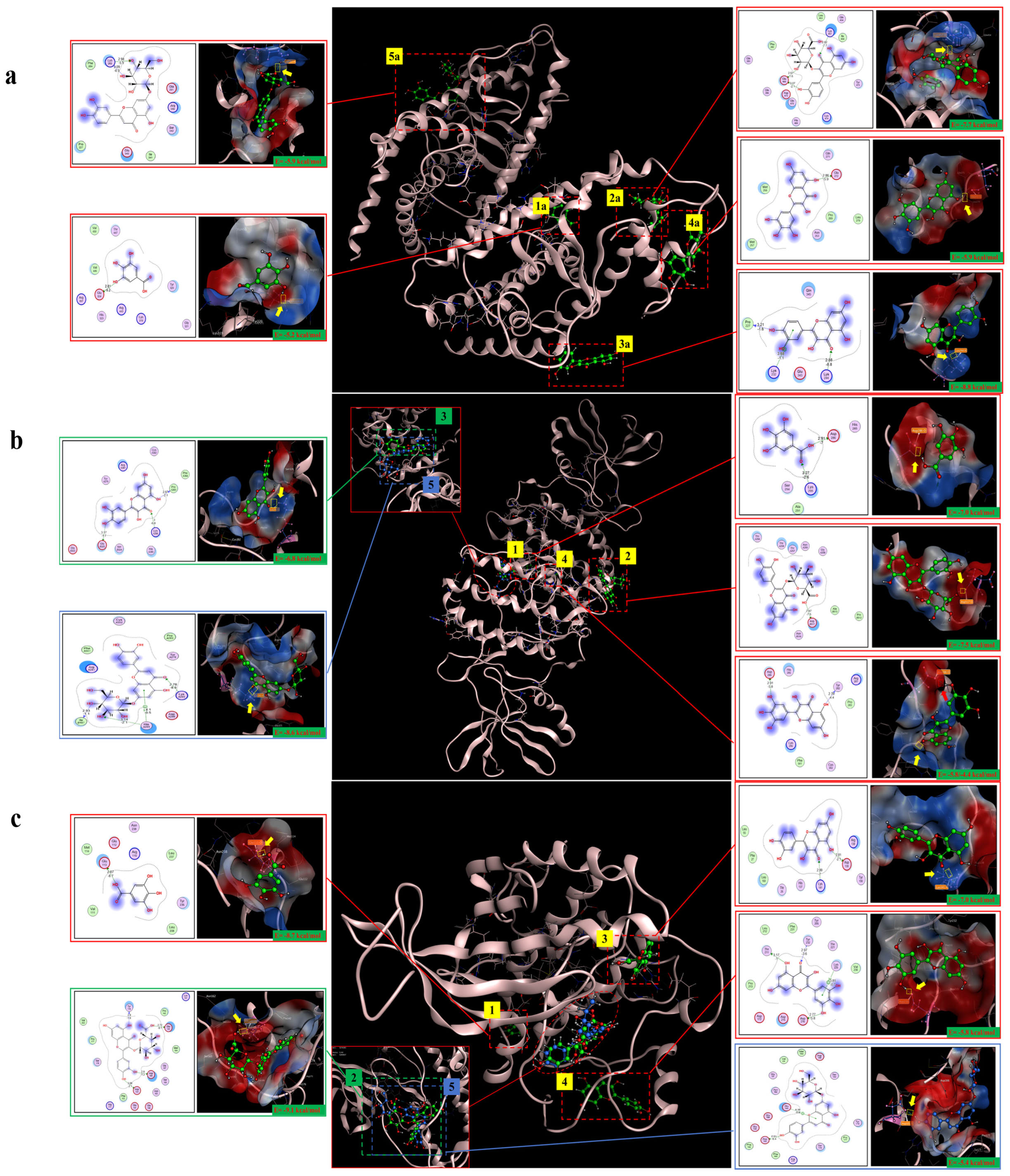 Pharmaceuticals 17 01349 g010