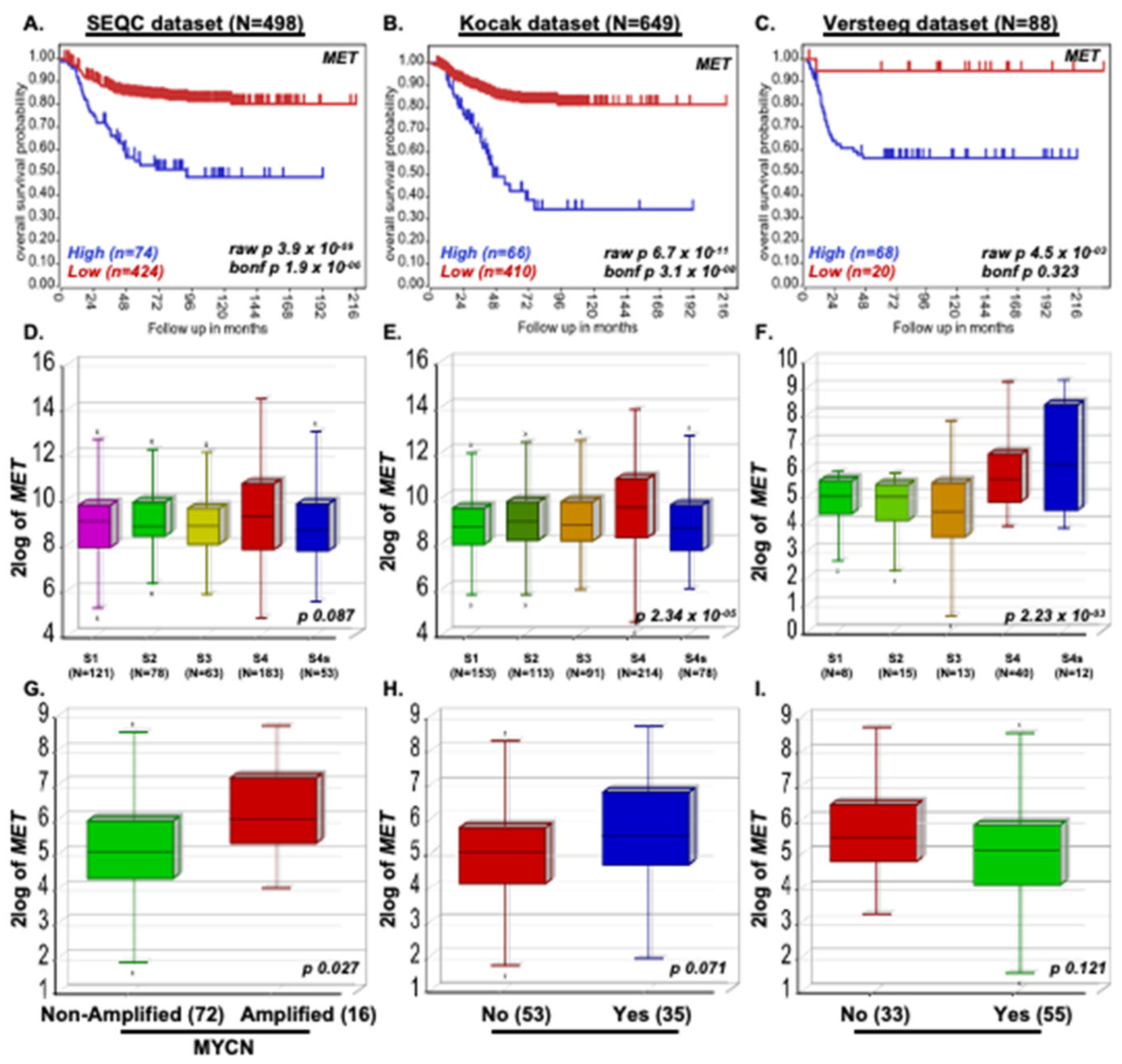 Pharmaceuticals 17 01350 g001