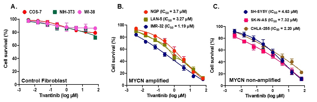 Pharmaceuticals 17 01350 g002