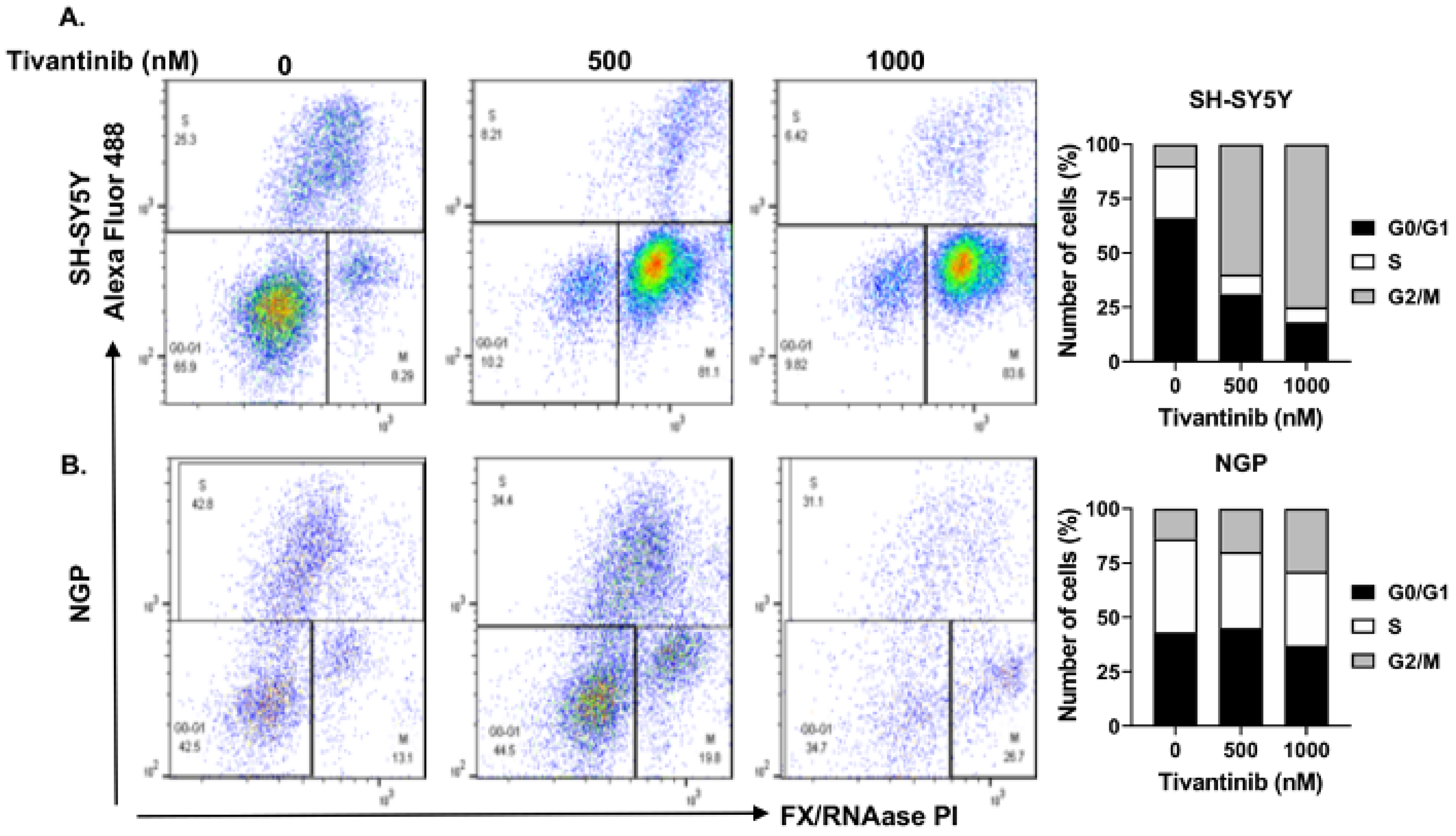 Pharmaceuticals 17 01350 g005