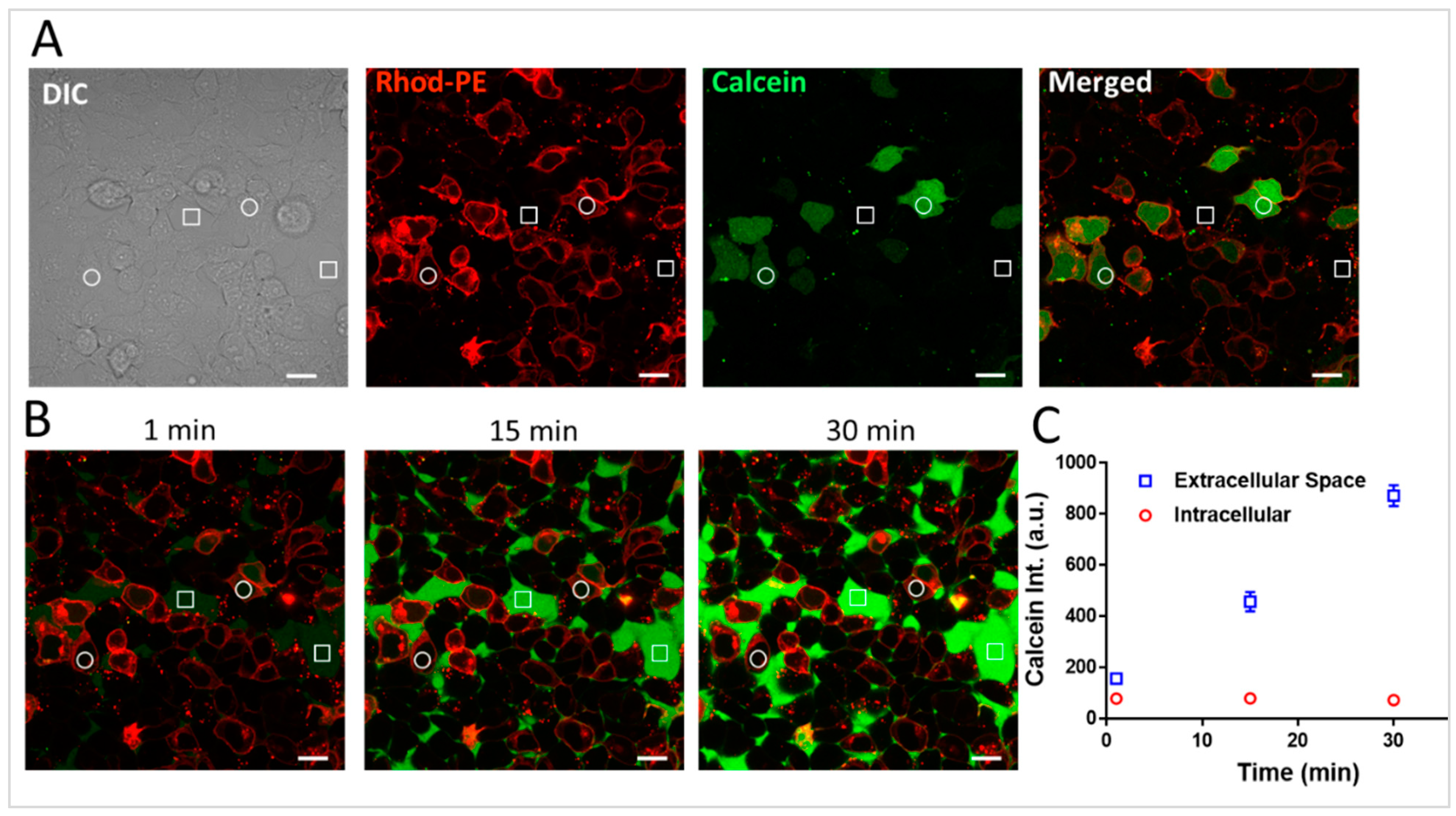 Pharmaceuticals 17 01351 g002