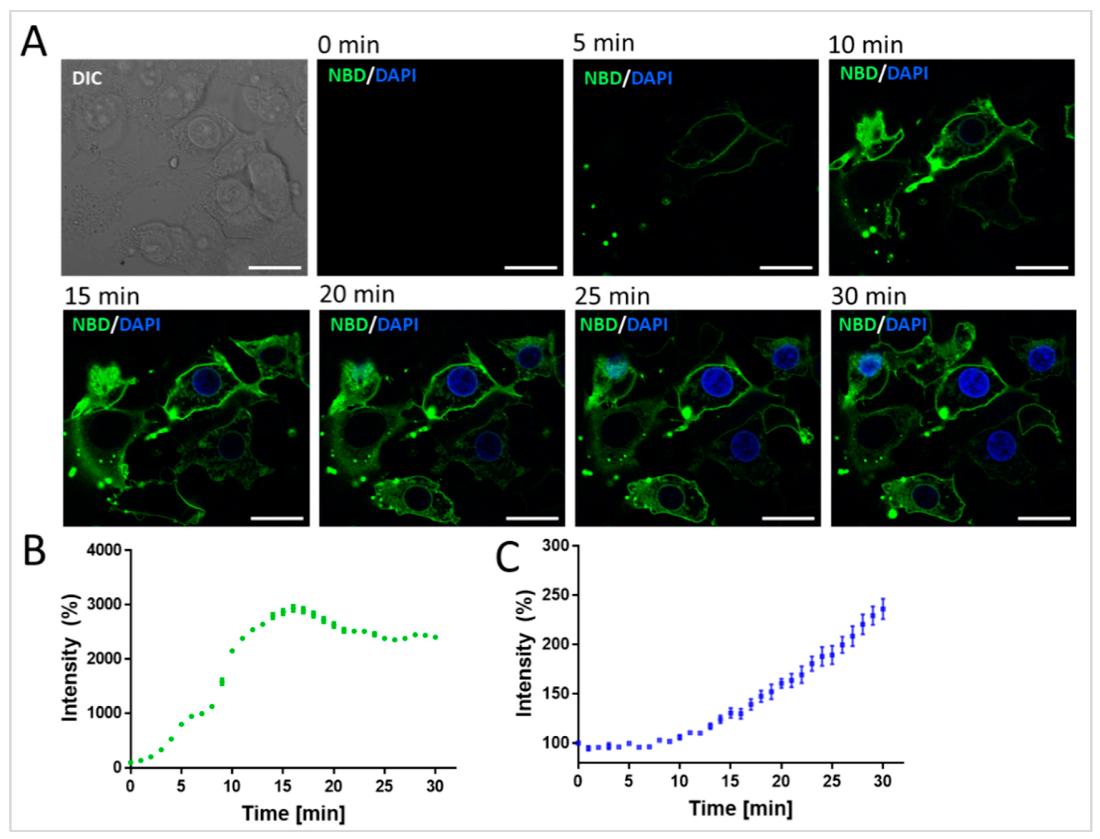 Pharmaceuticals 17 01351 g003