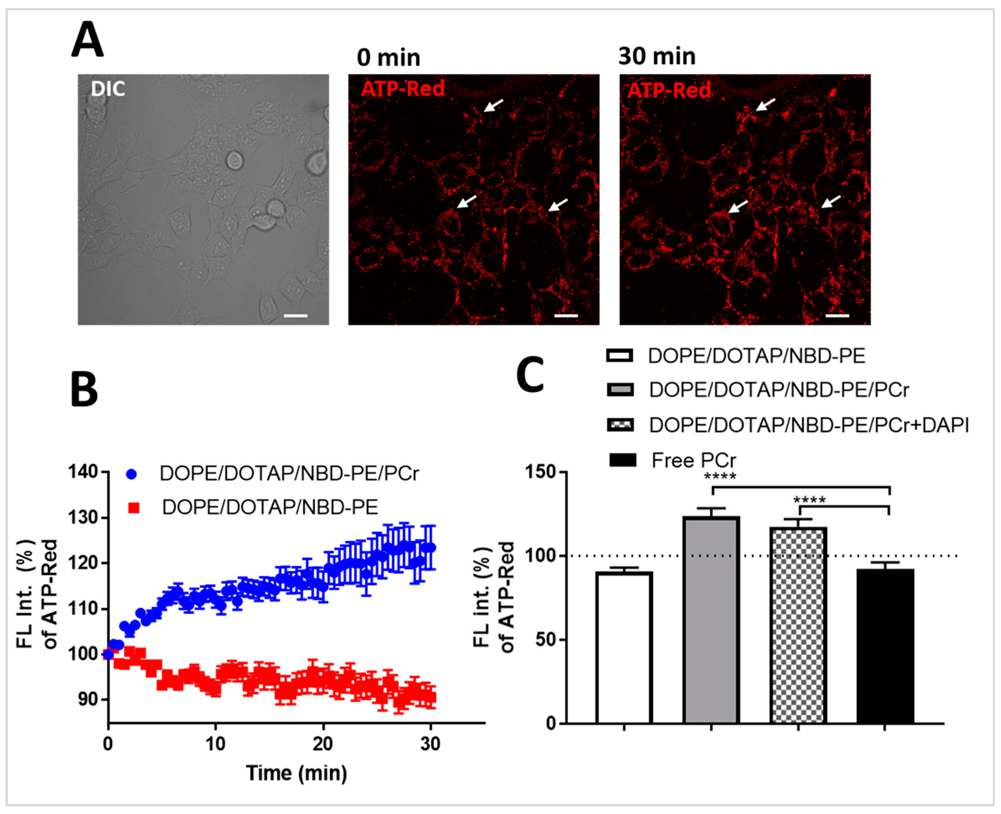Pharmaceuticals 17 01351 g004
