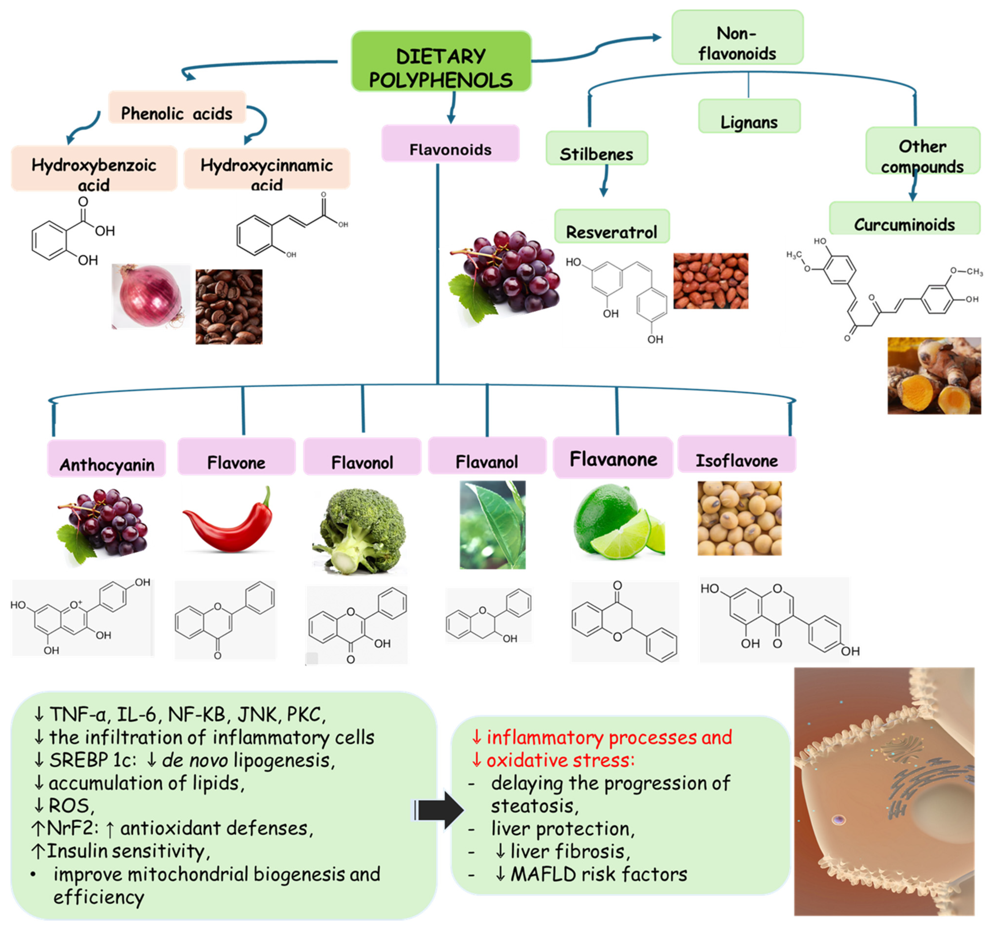 Pharmaceuticals 17 01354 g004