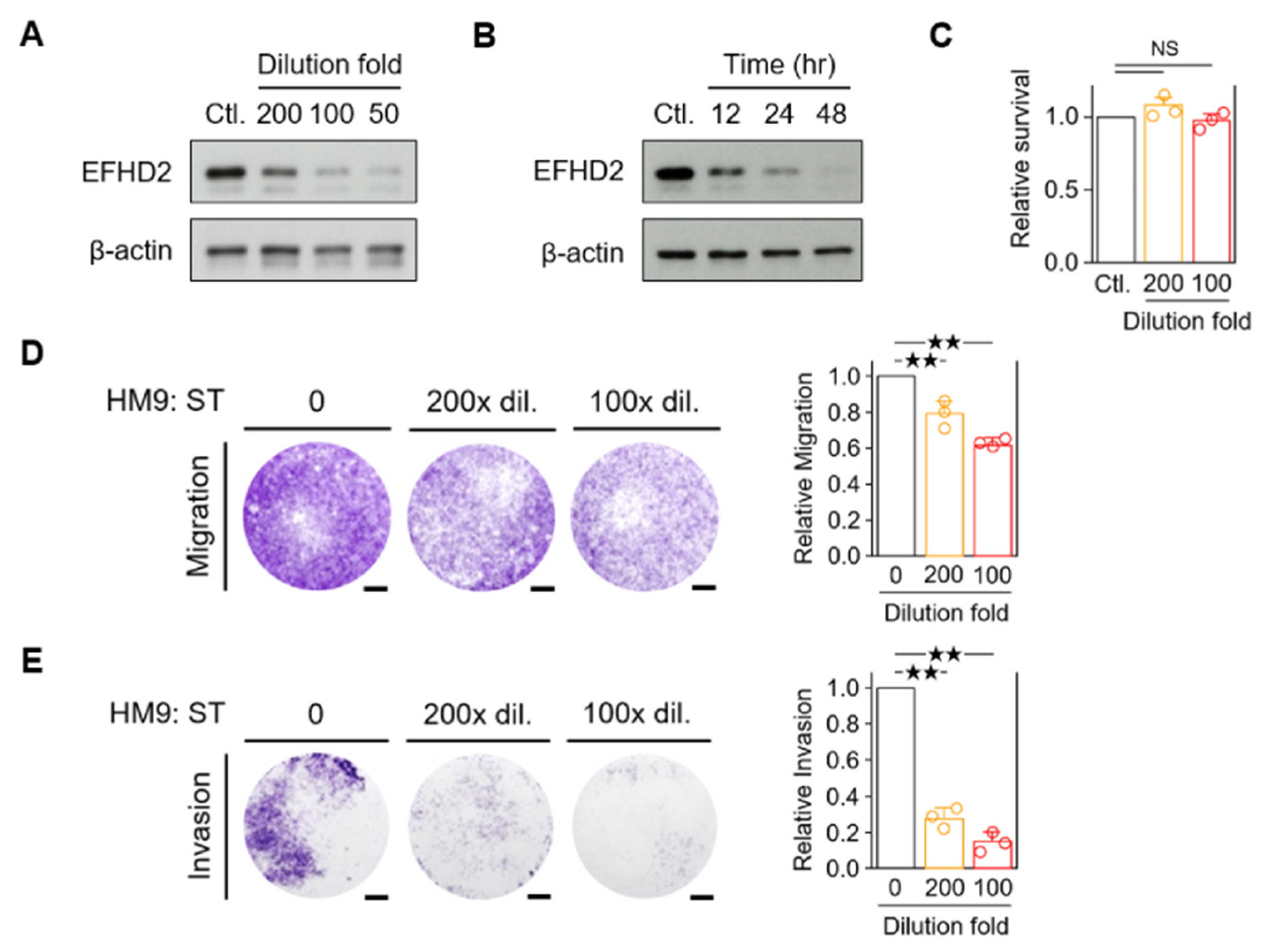 Pharmaceuticals 17 01356 g002 Pharmaceuticals 17 01356 g002