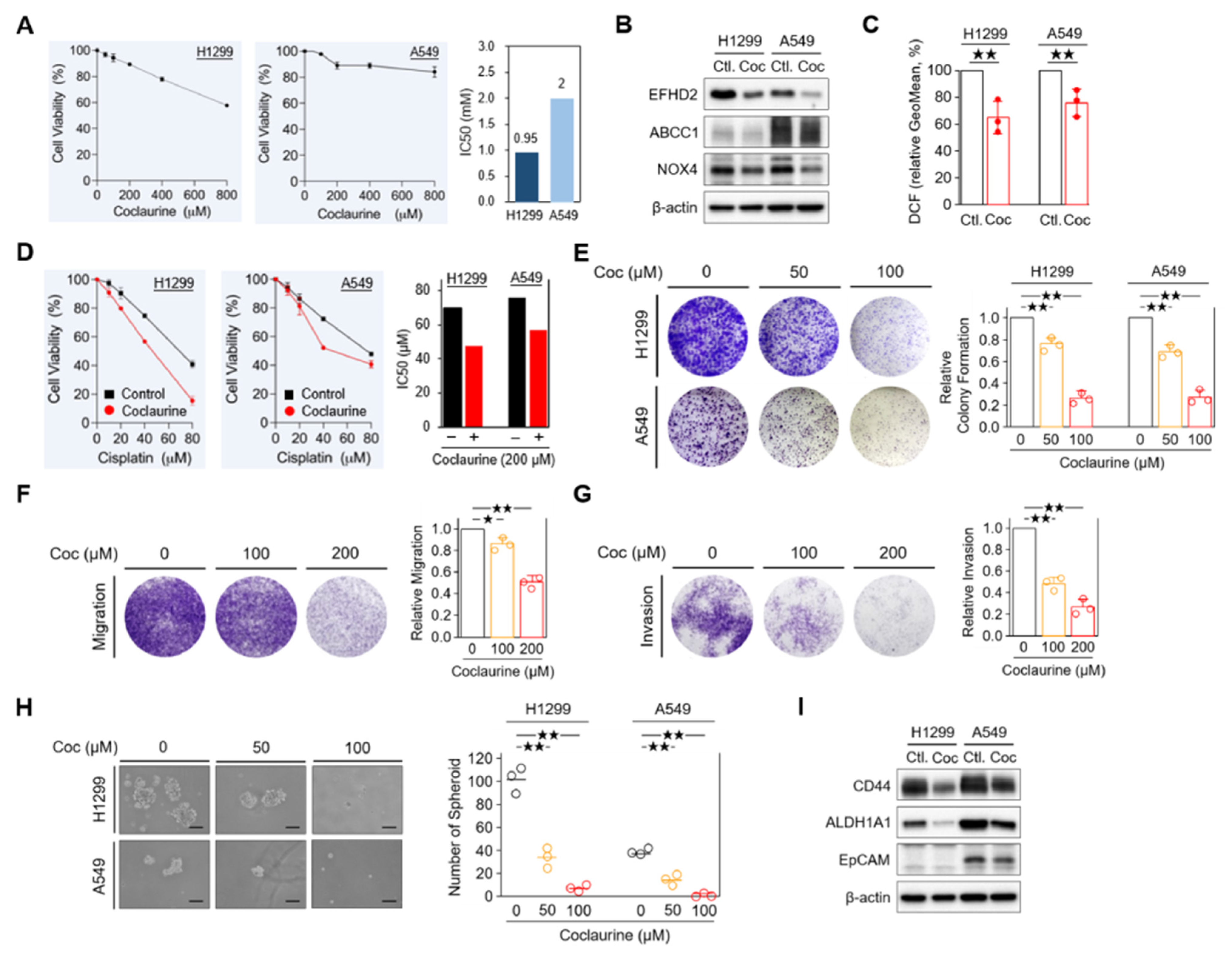 Pharmaceuticals 17 01356 g005 Pharmaceuticals 17 01356 g005