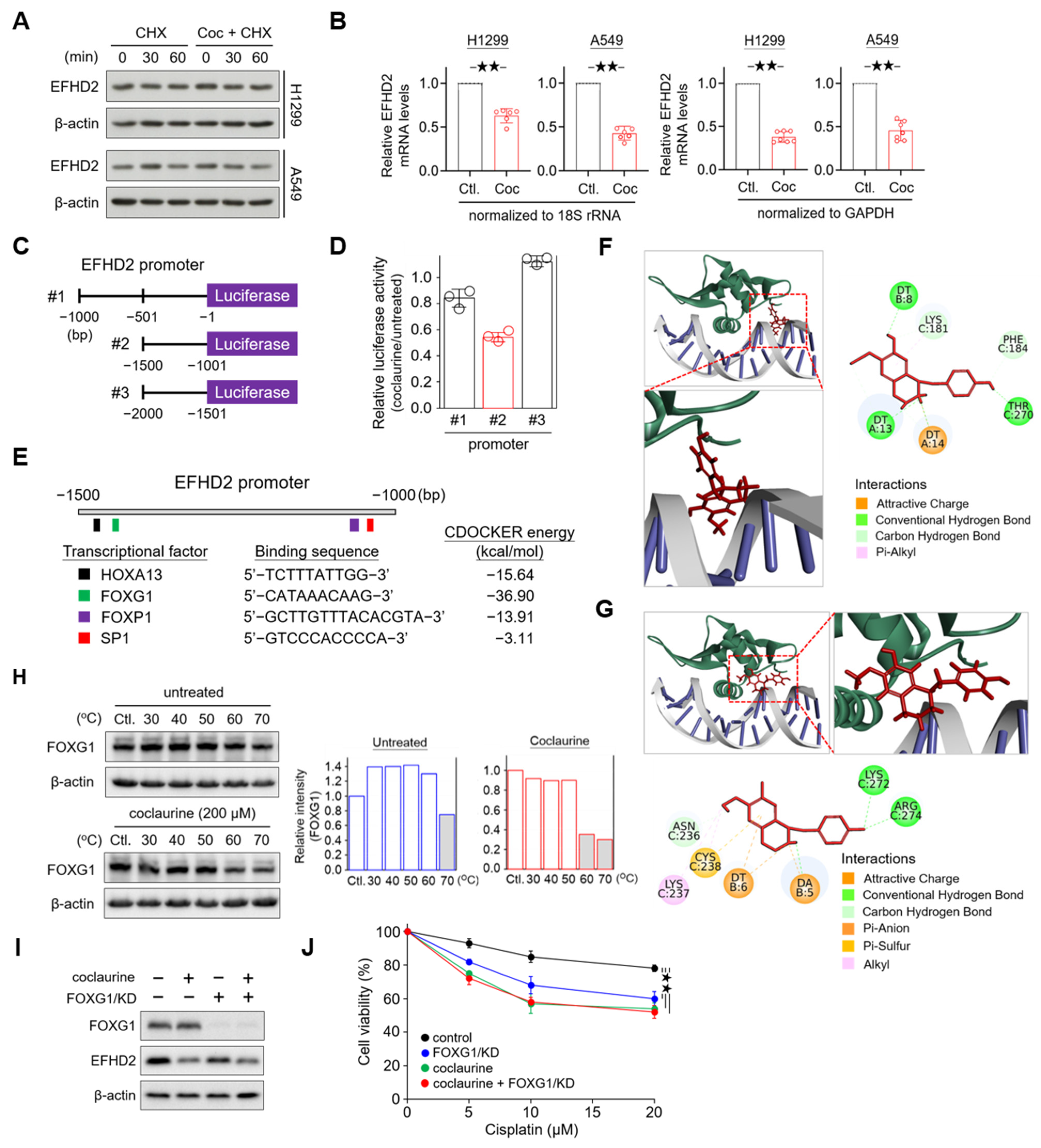 Pharmaceuticals 17 01356 g006 Pharmaceuticals 17 01356 g006