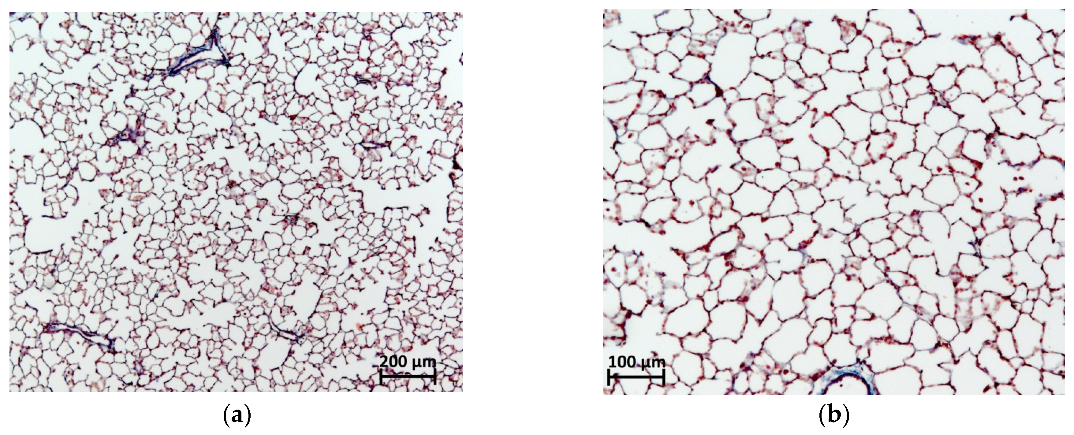 Pharmaceuticals 17 01360 g005a