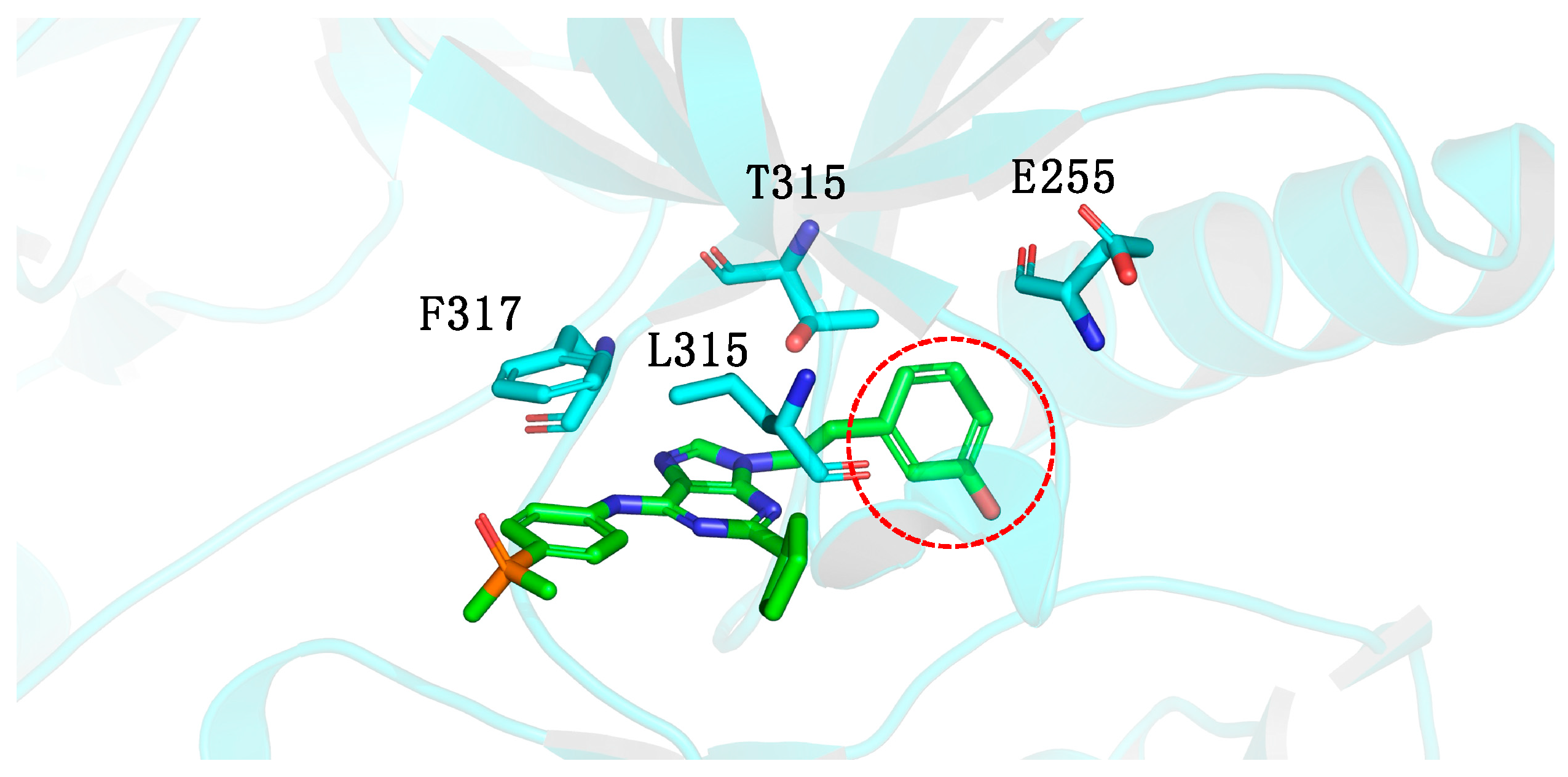 Pharmaceuticals 17 01361 g003 Pharmaceuticals 17 01361 g003