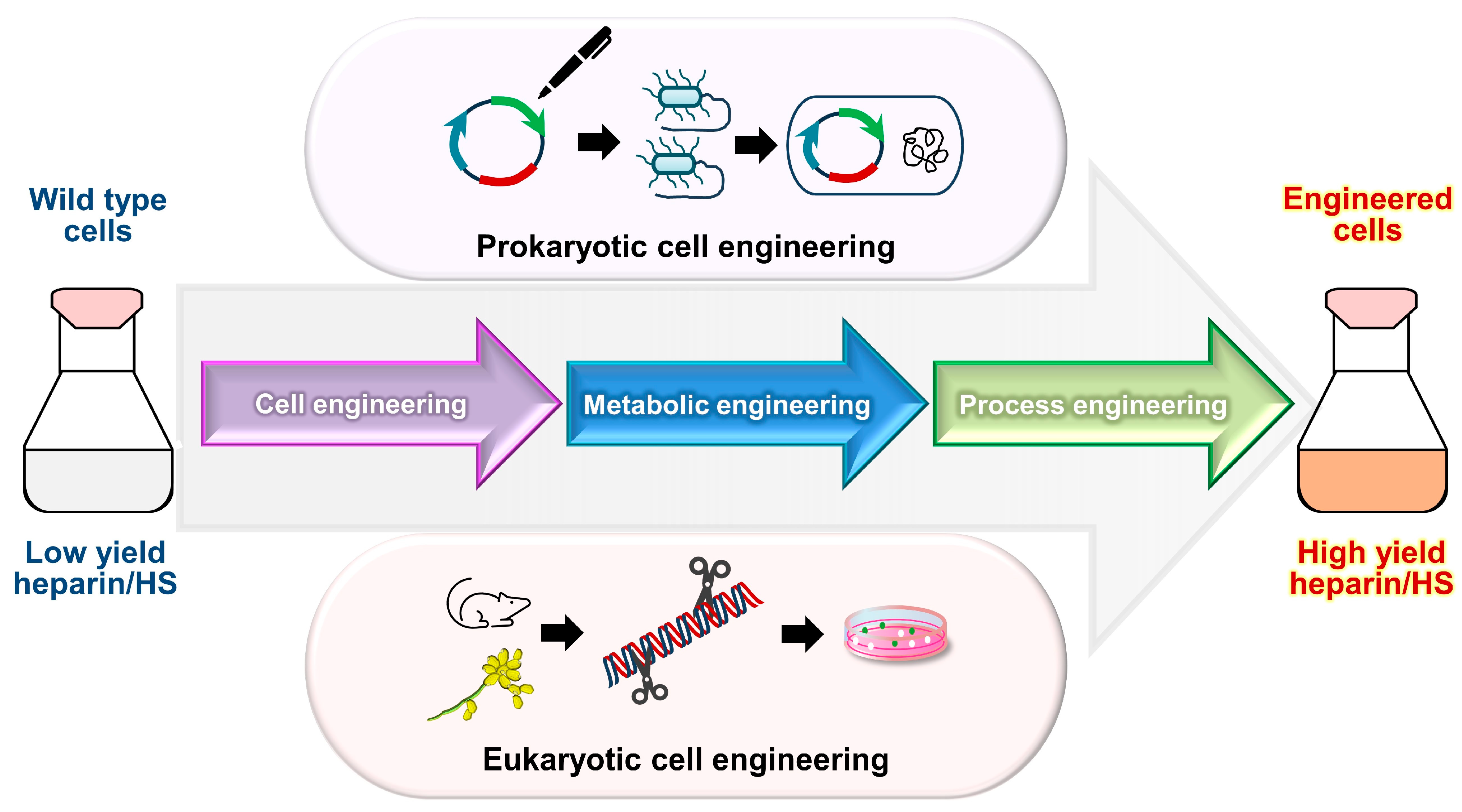 Pharmaceuticals 17 01362 g004 Pharmaceuticals 17 01362 g004