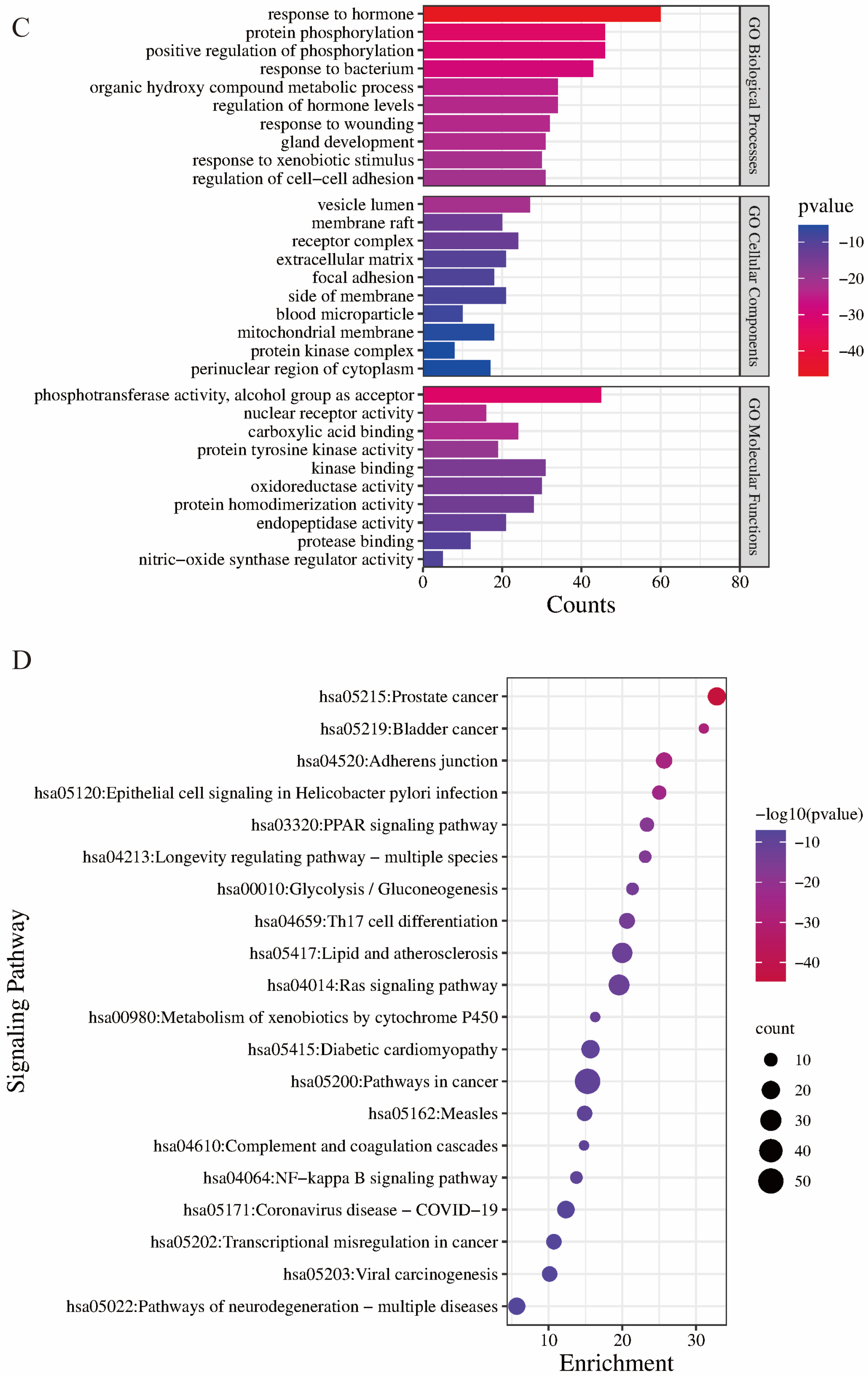 Pharmaceuticals 17 01363 g003b Pharmaceuticals 17 01363 g003b