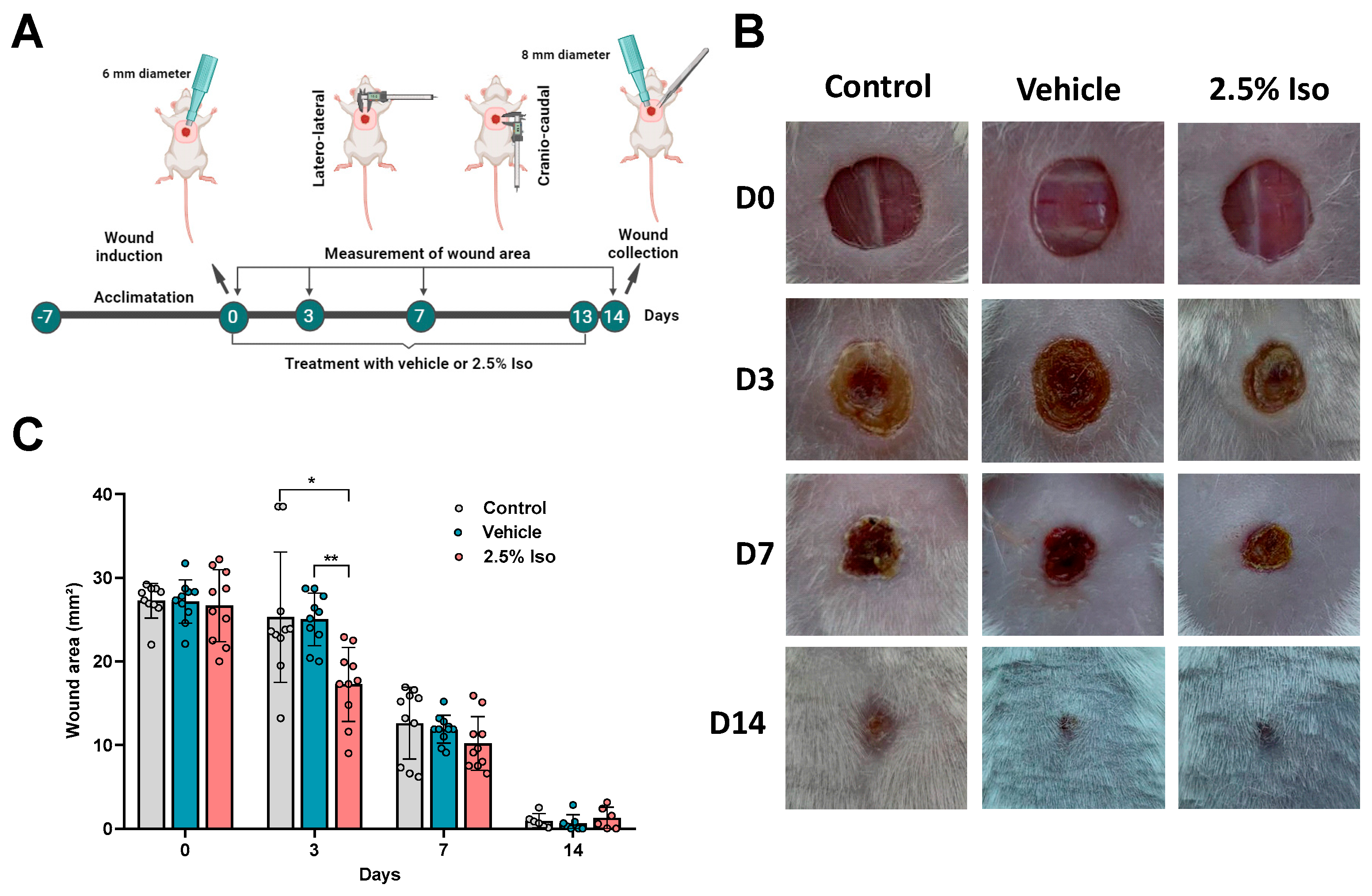 Pharmaceuticals 17 01368 g001