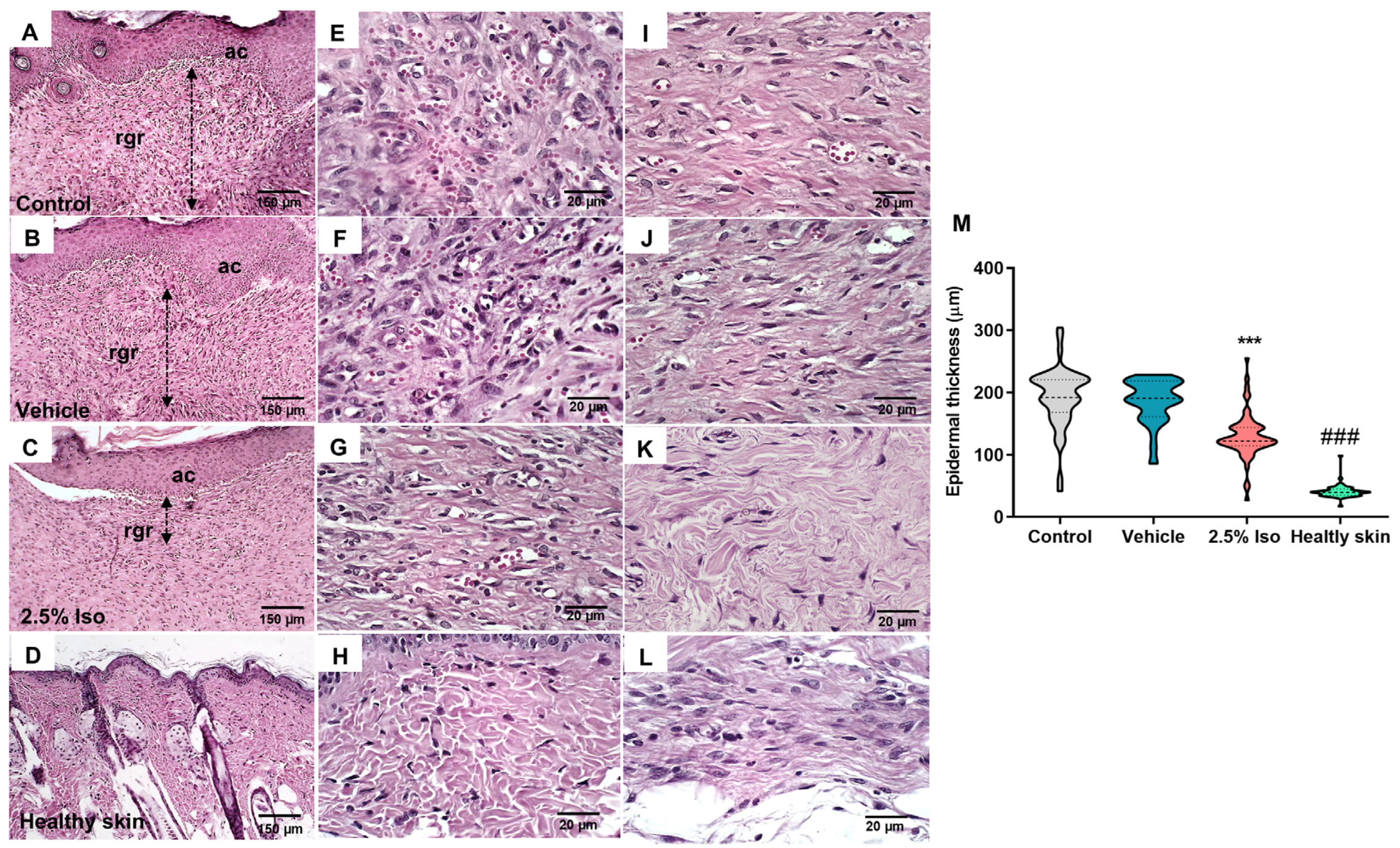 Pharmaceuticals 17 01368 g002