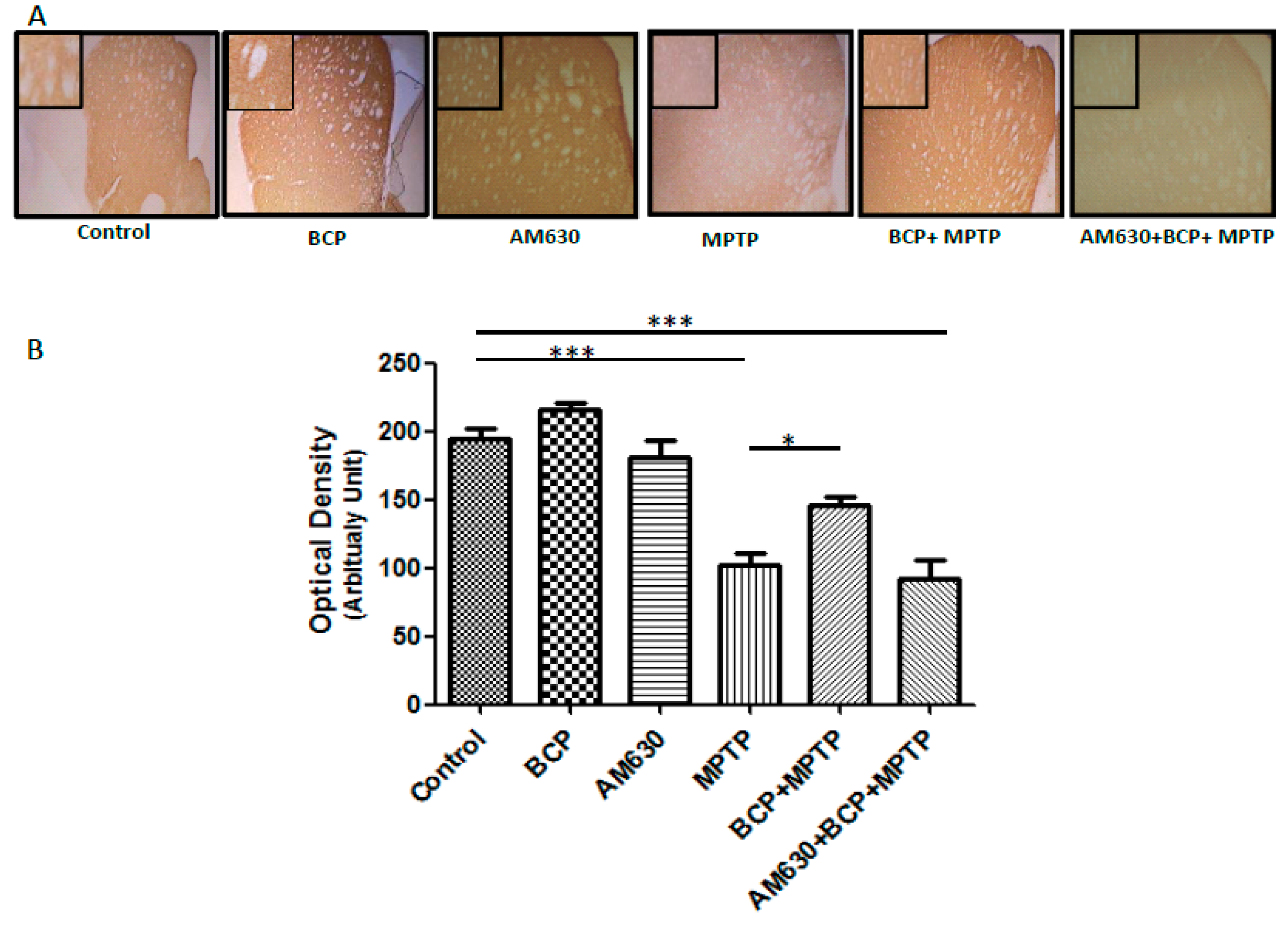 Pharmaceuticals 17 01374 g005