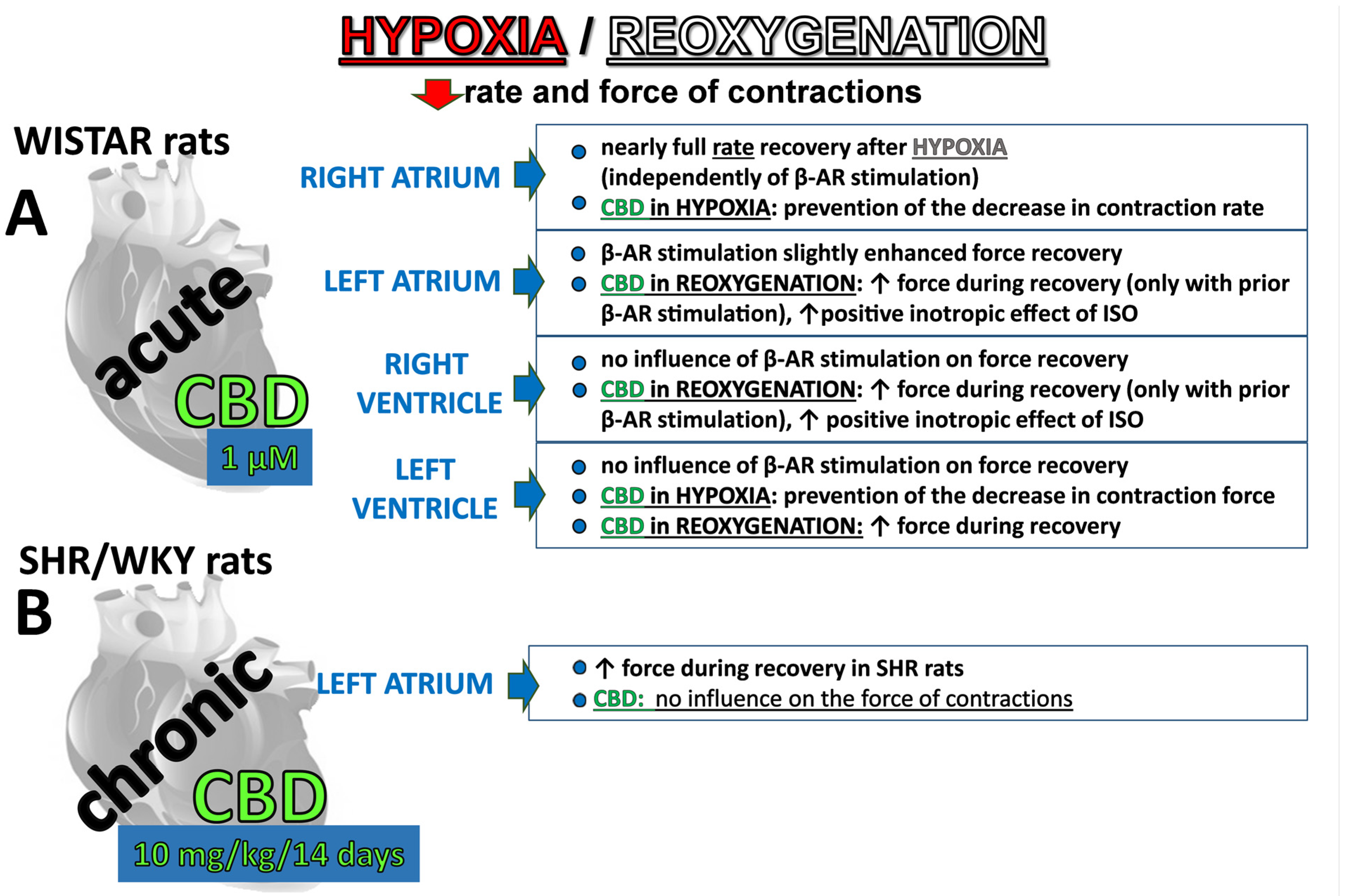 Pharmaceuticals 17 01379 g005 Pharmaceuticals 17 01379 g005