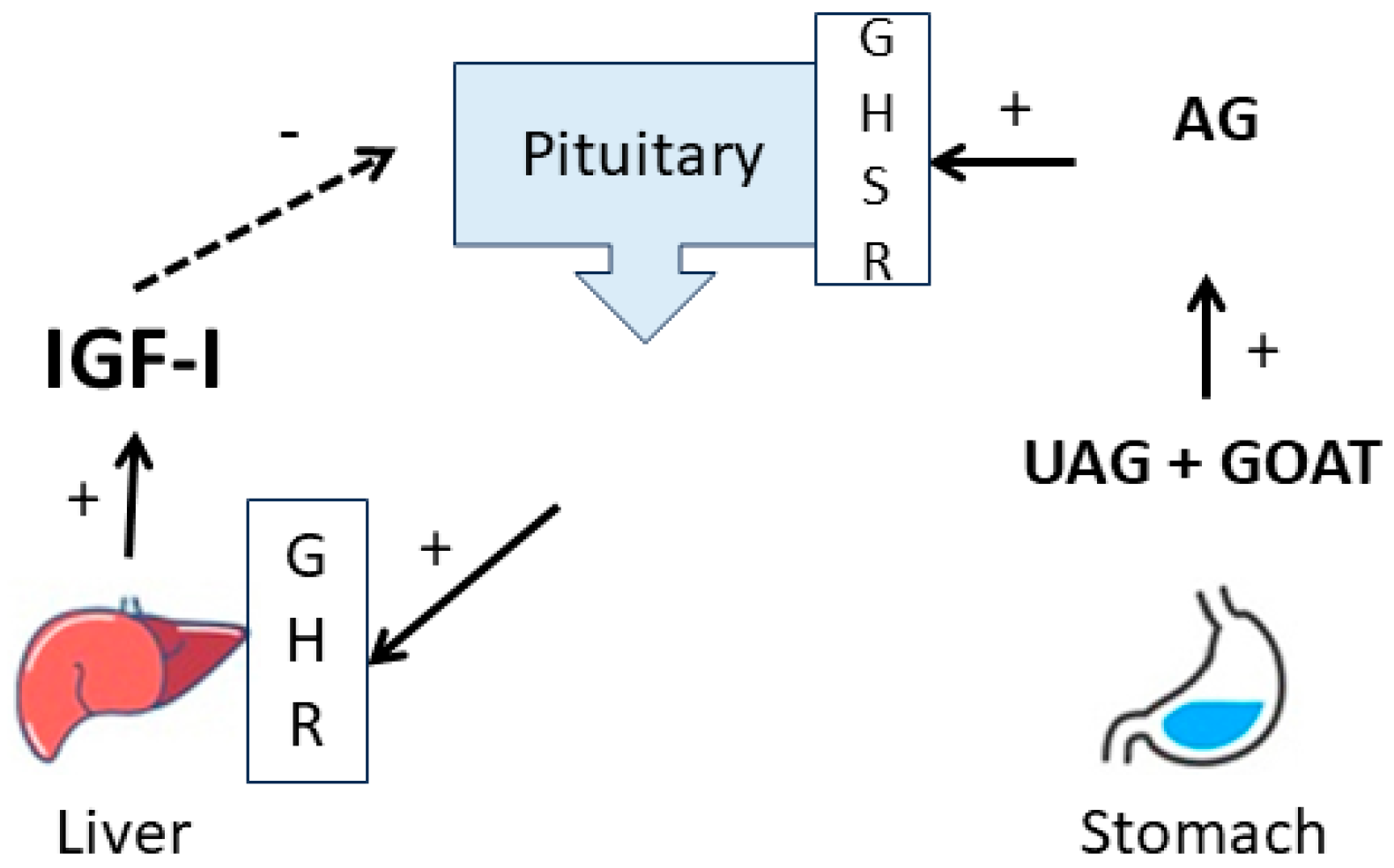 Pharmaceuticals 17 01381 g006