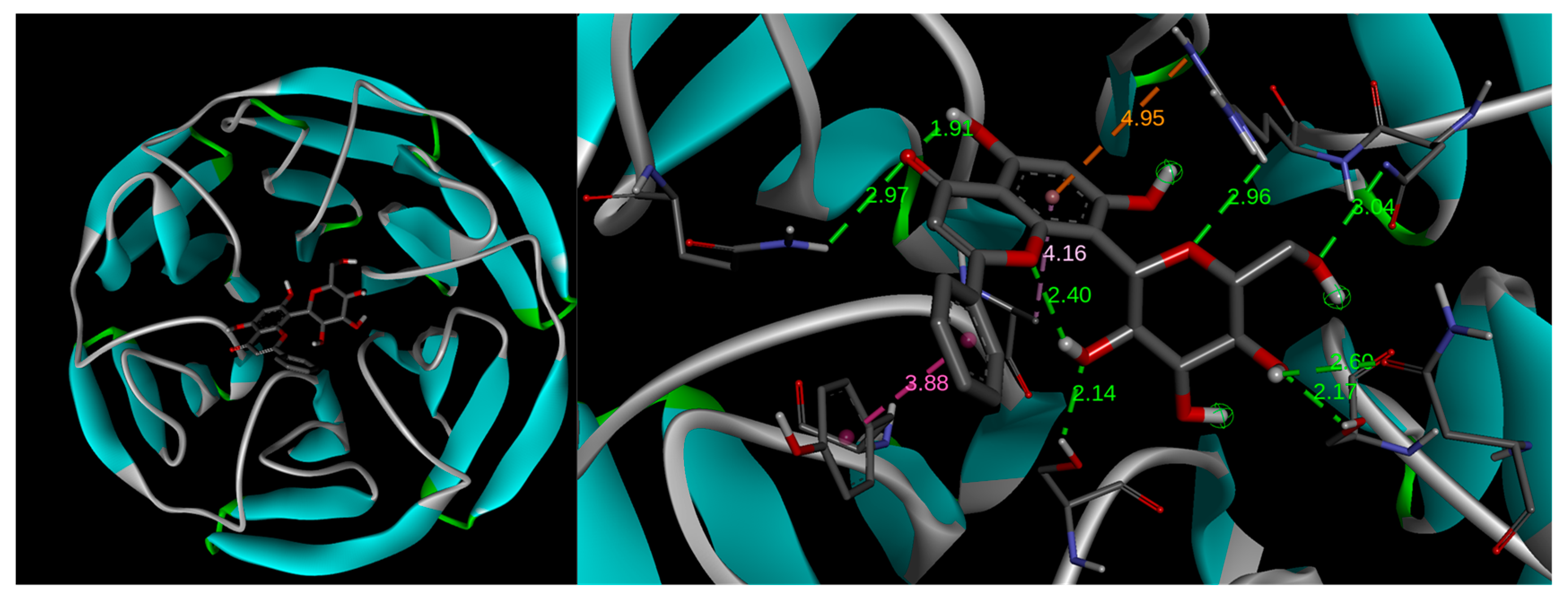 Pharmaceuticals 17 01388 g006