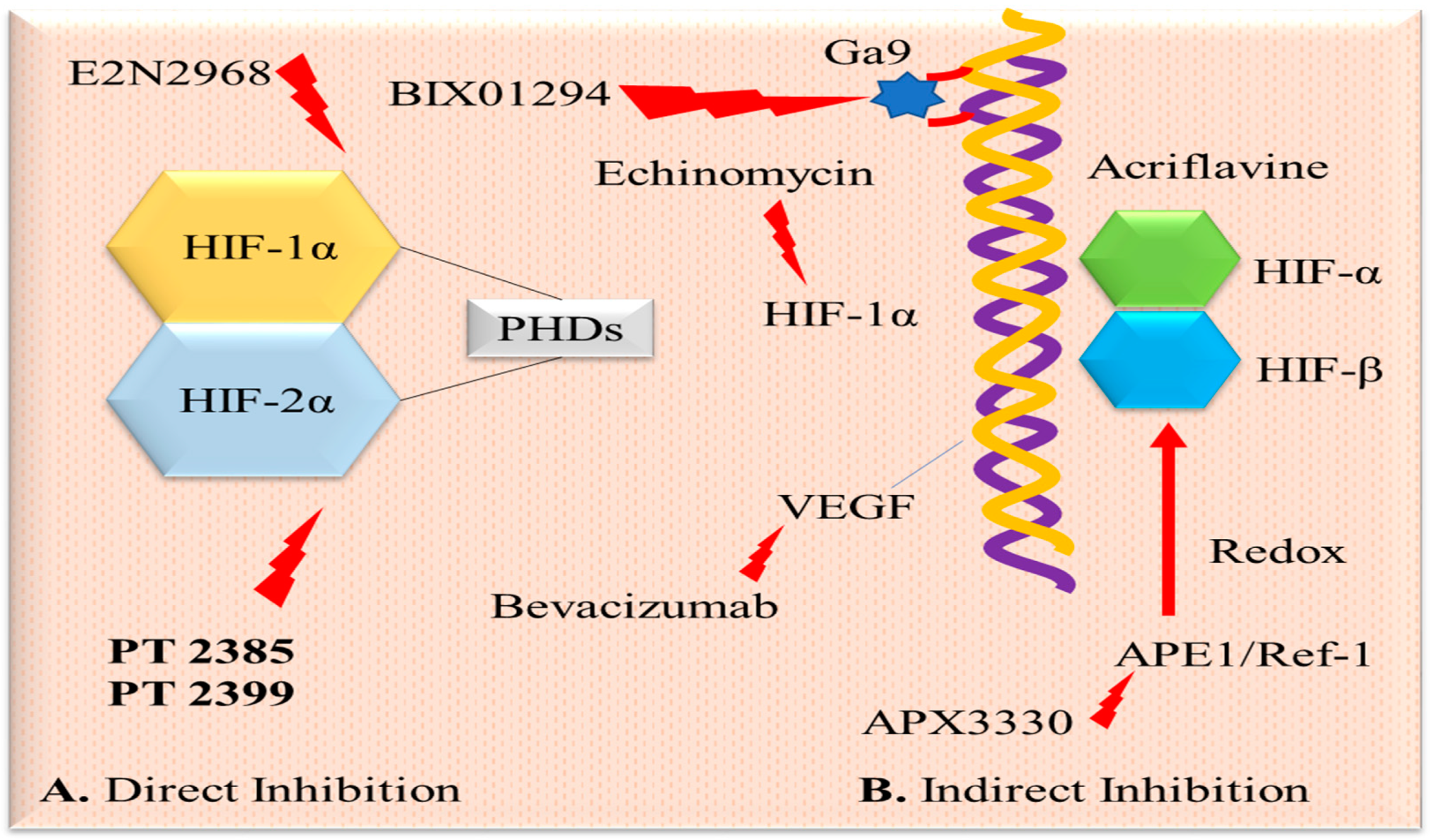 Pharmaceuticals 17 01389 g002
