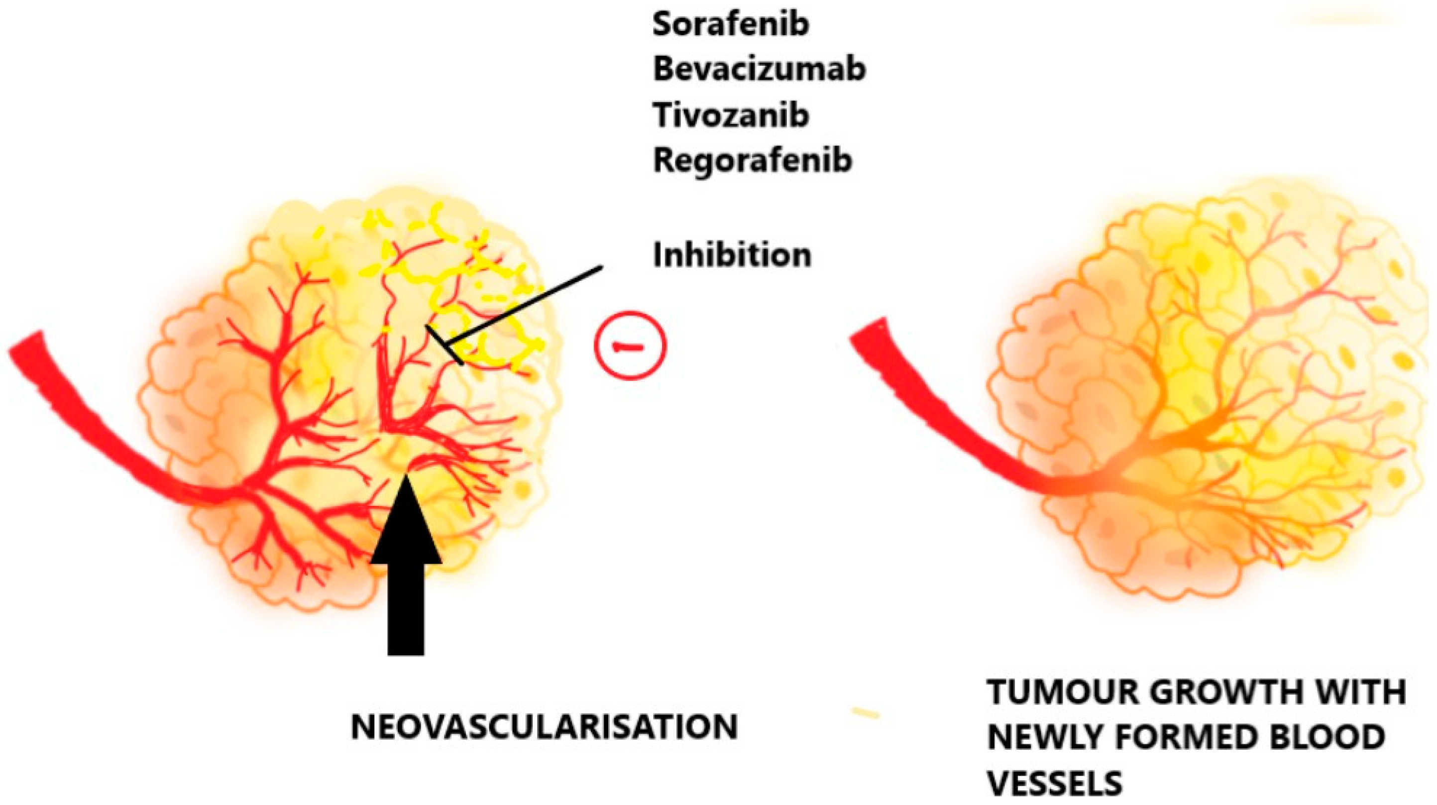 Pharmaceuticals 17 01389 g004