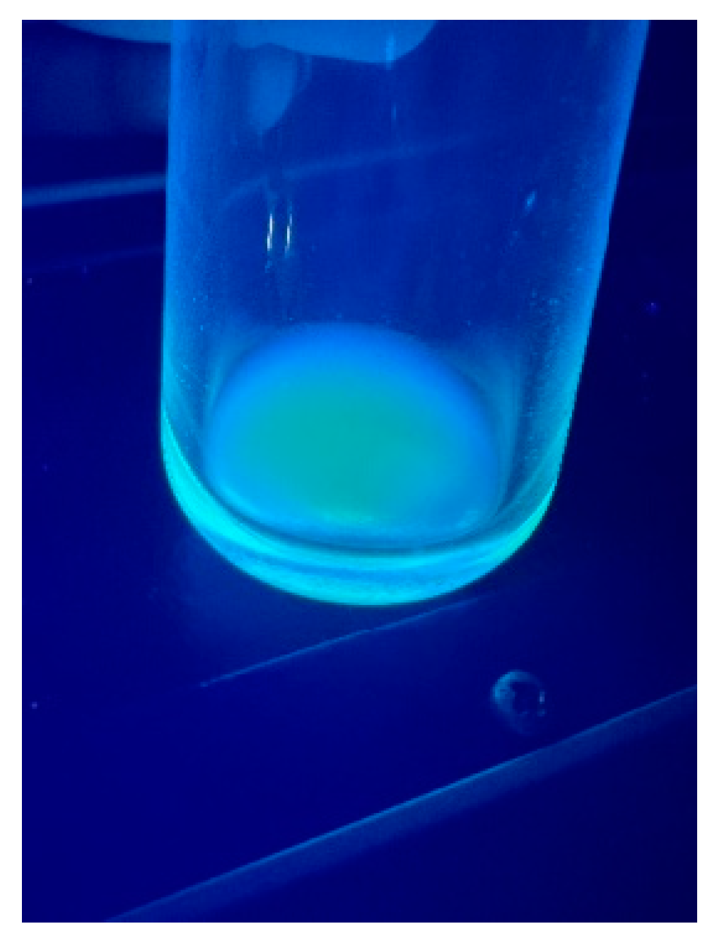 Pharmaceuticals 17 01395 g001