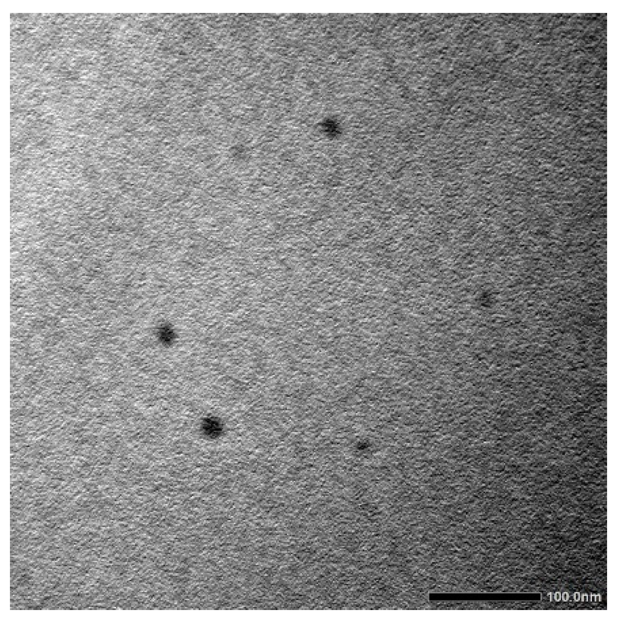 Pharmaceuticals 17 01395 g002