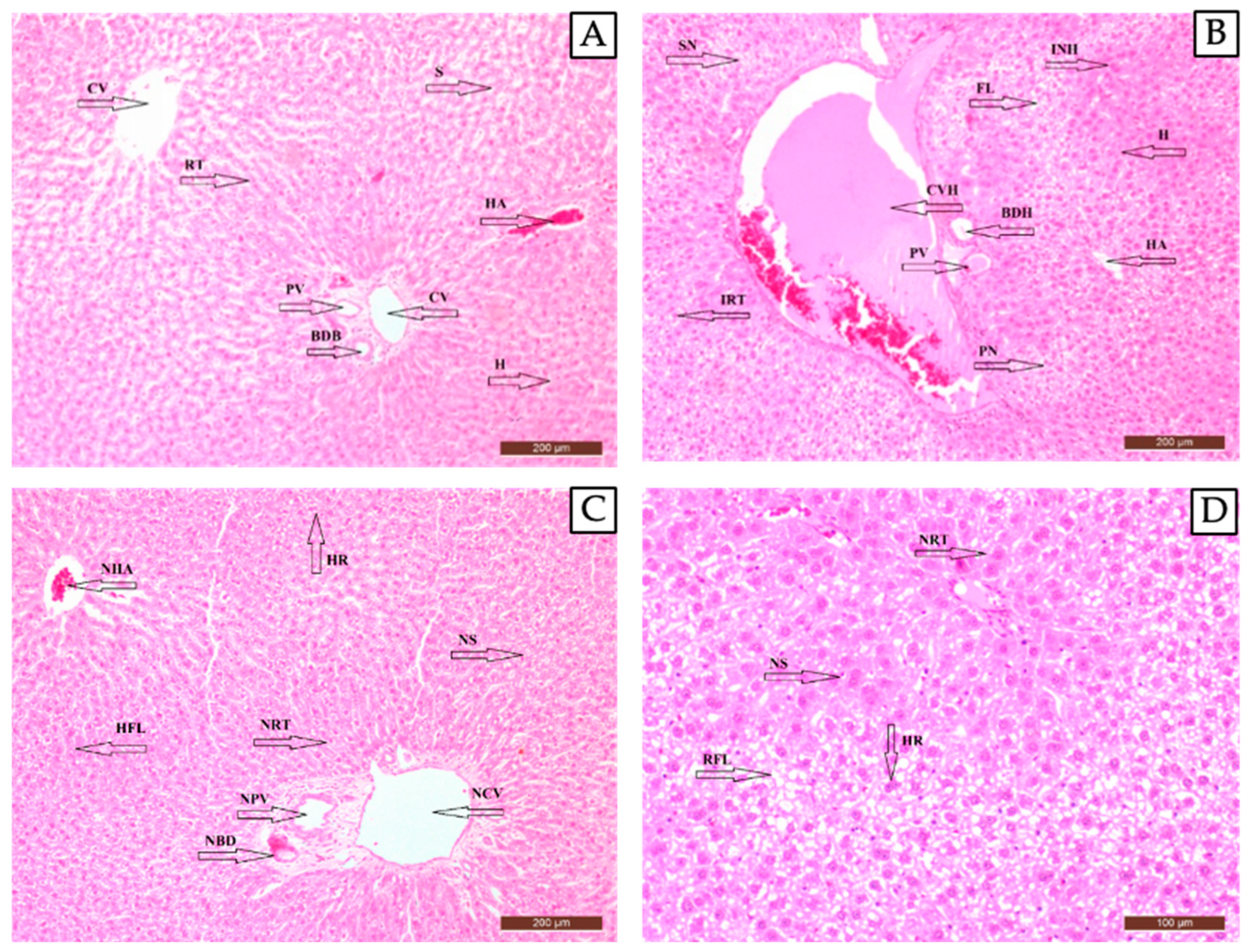 Pharmaceuticals 17 01395 g006