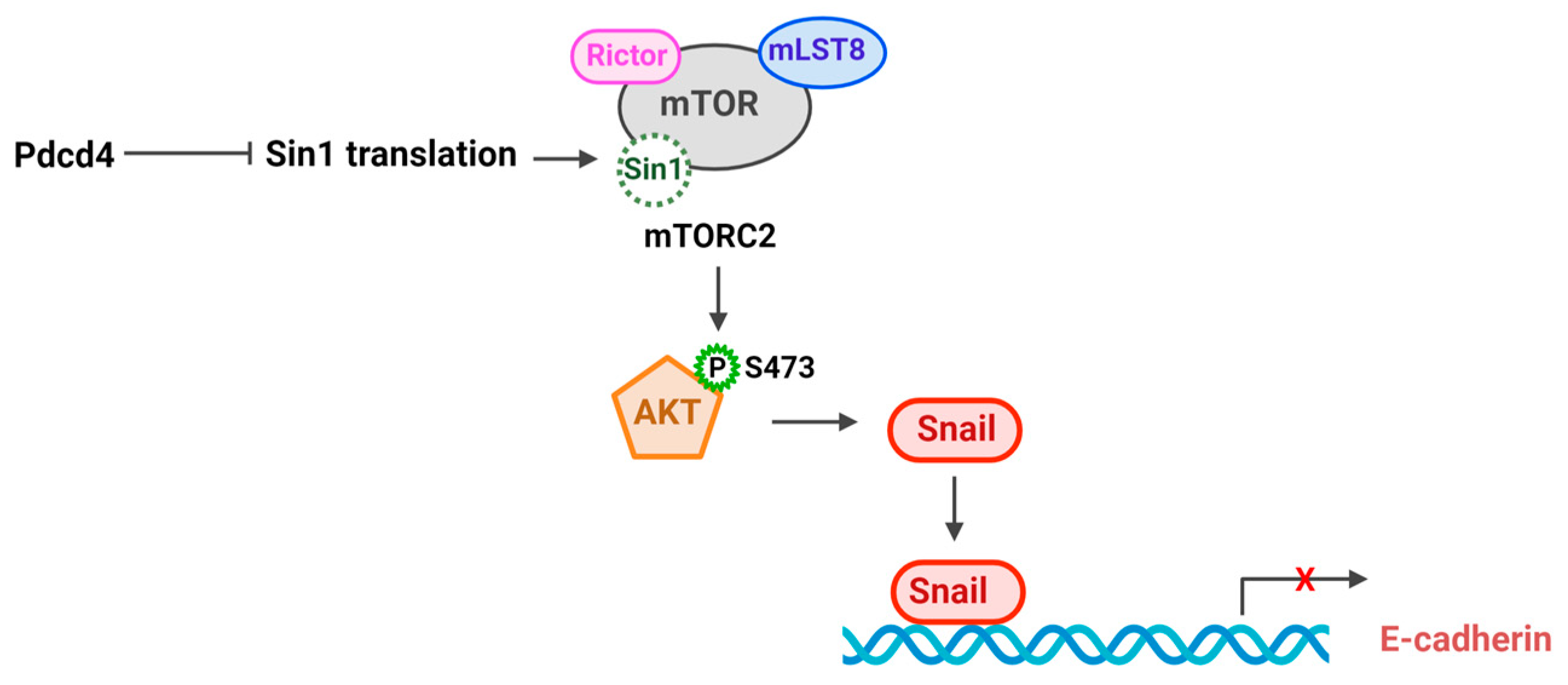 Pharmaceuticals 17 01396 g003 Pharmaceuticals 17 01396 g003