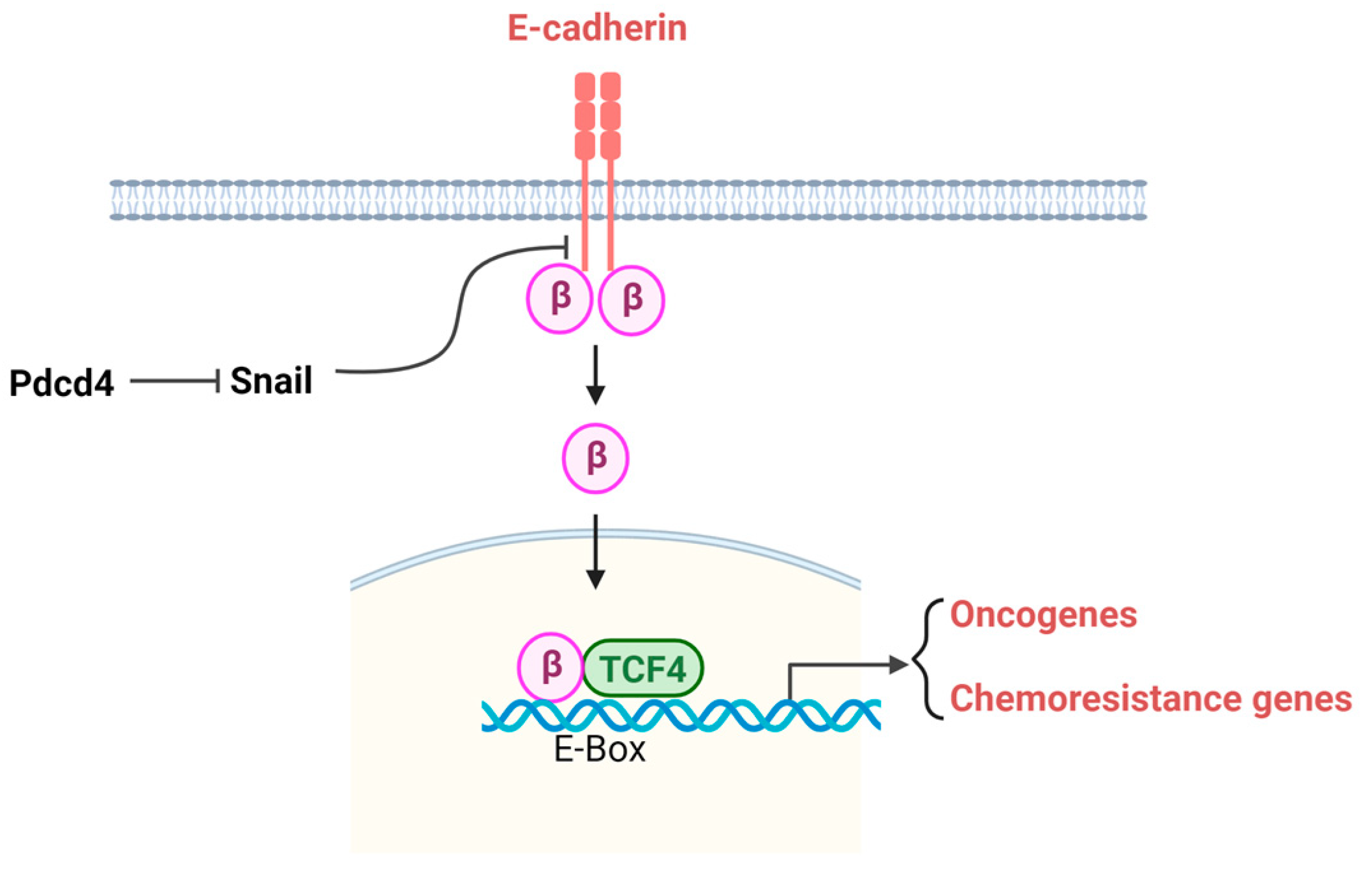 Pharmaceuticals 17 01396 g004 Pharmaceuticals 17 01396 g004