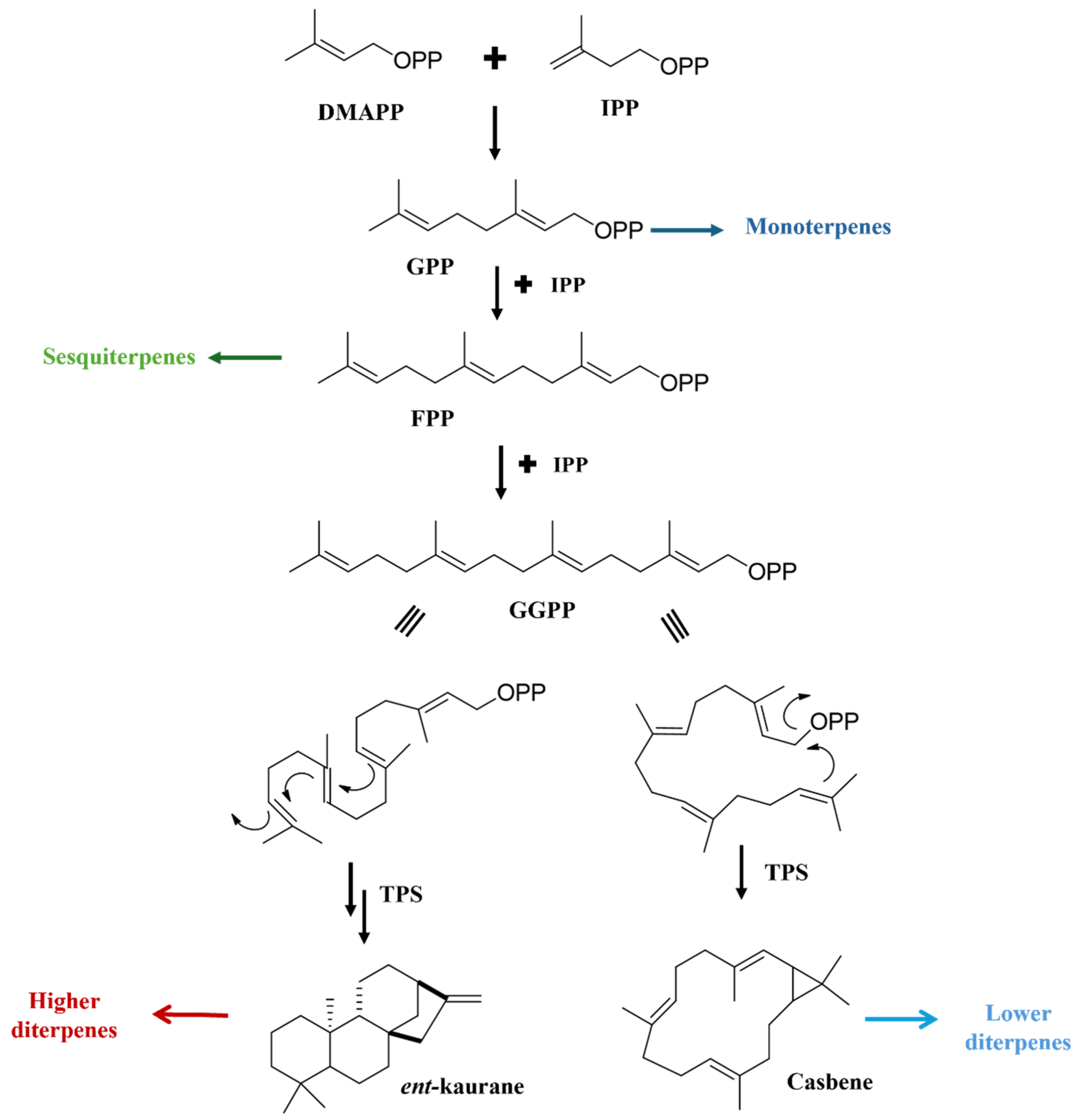 Pharmaceuticals 17 01399 g001 Pharmaceuticals 17 01399 g001