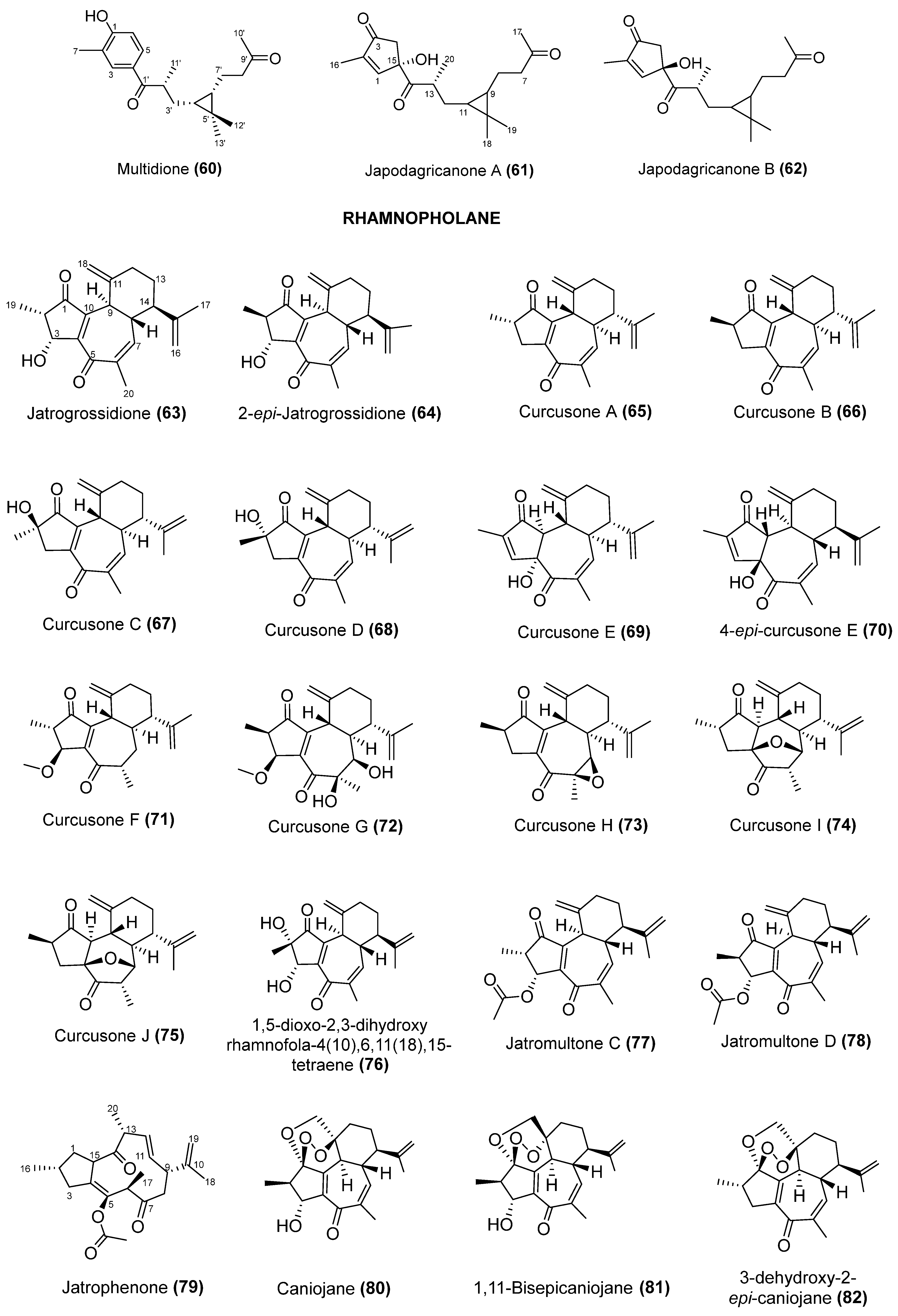 Pharmaceuticals 17 01399 g003d Pharmaceuticals 17 01399 g003d