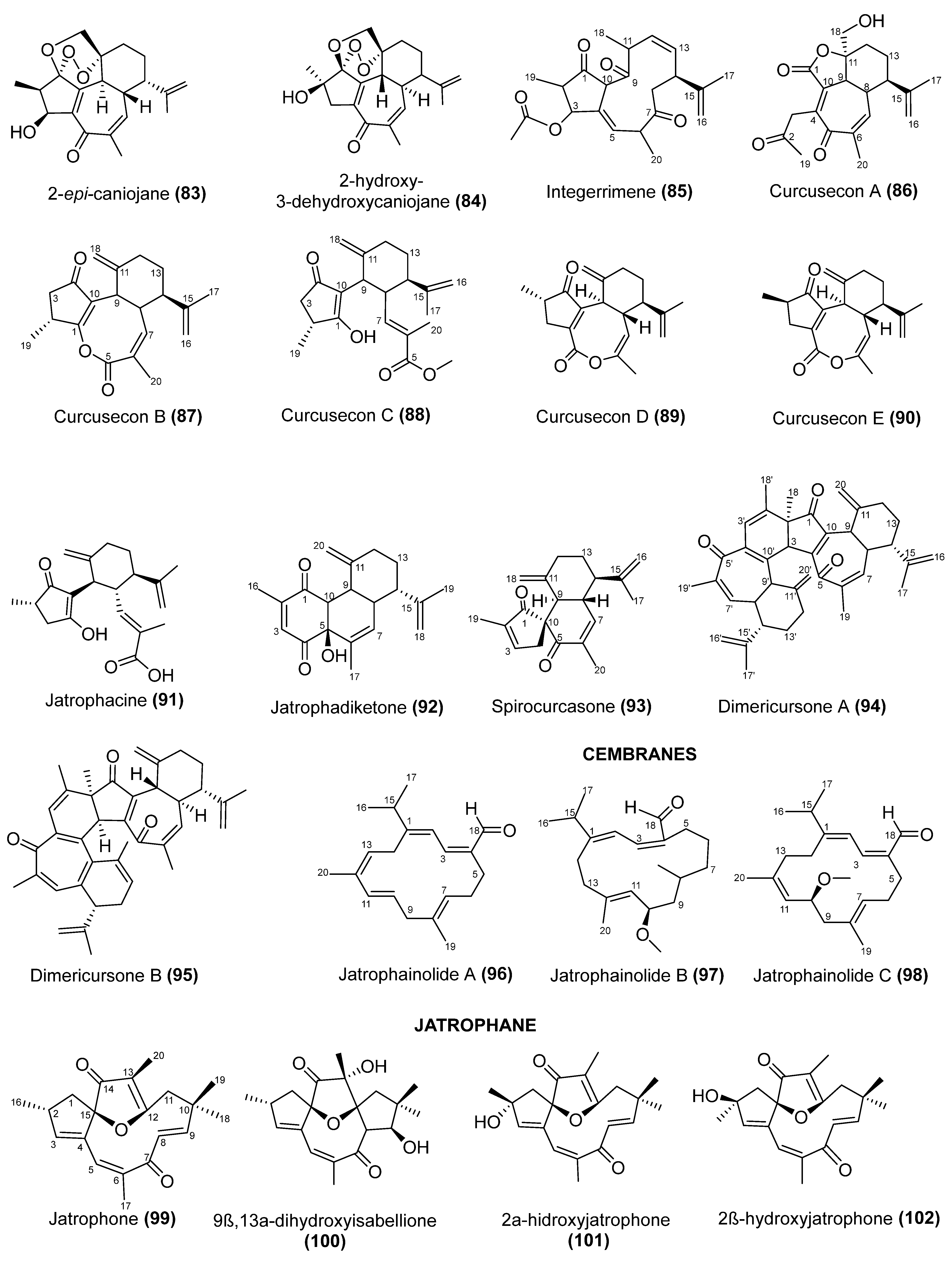 Pharmaceuticals 17 01399 g003e Pharmaceuticals 17 01399 g003e