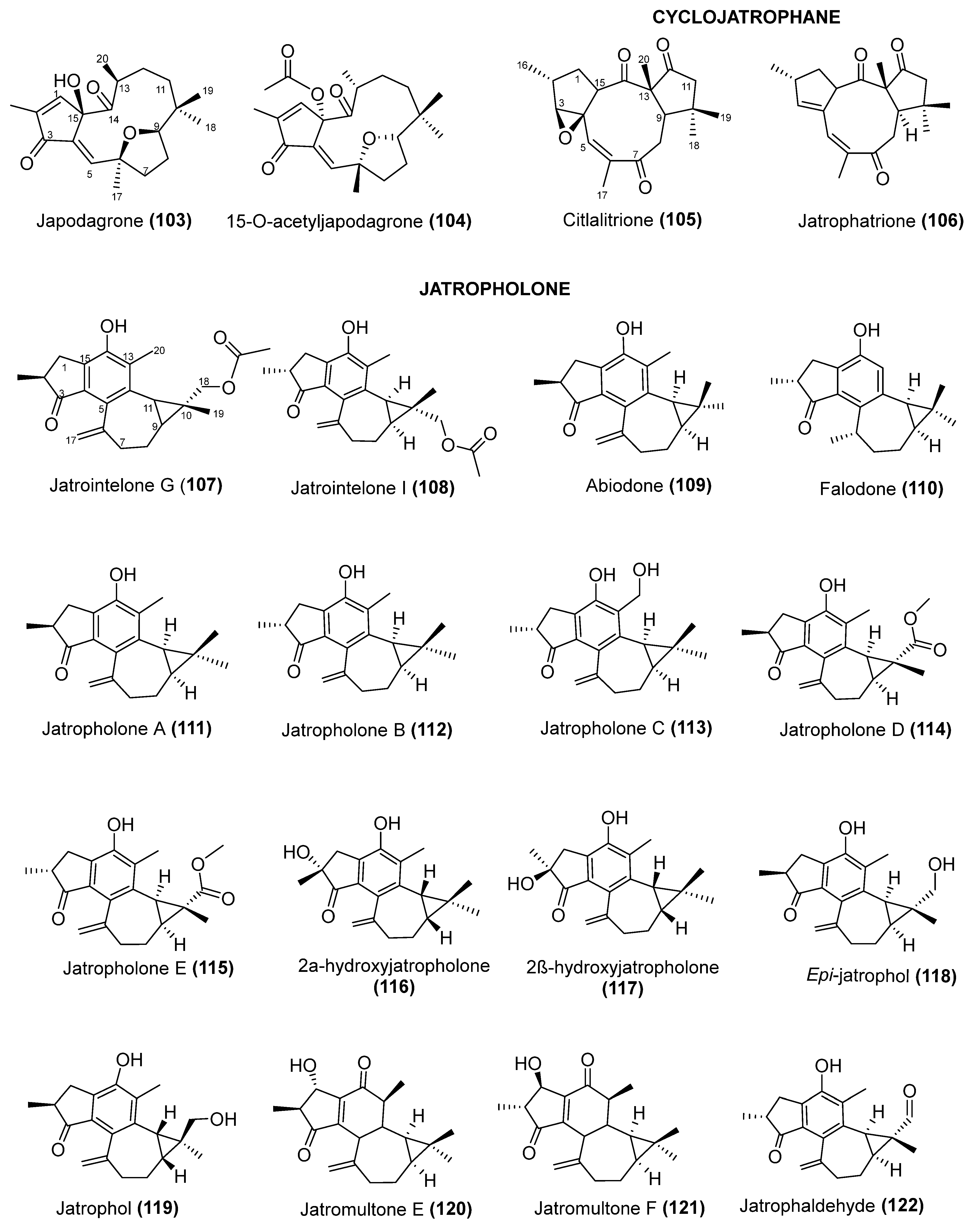 Pharmaceuticals 17 01399 g003f Pharmaceuticals 17 01399 g003f