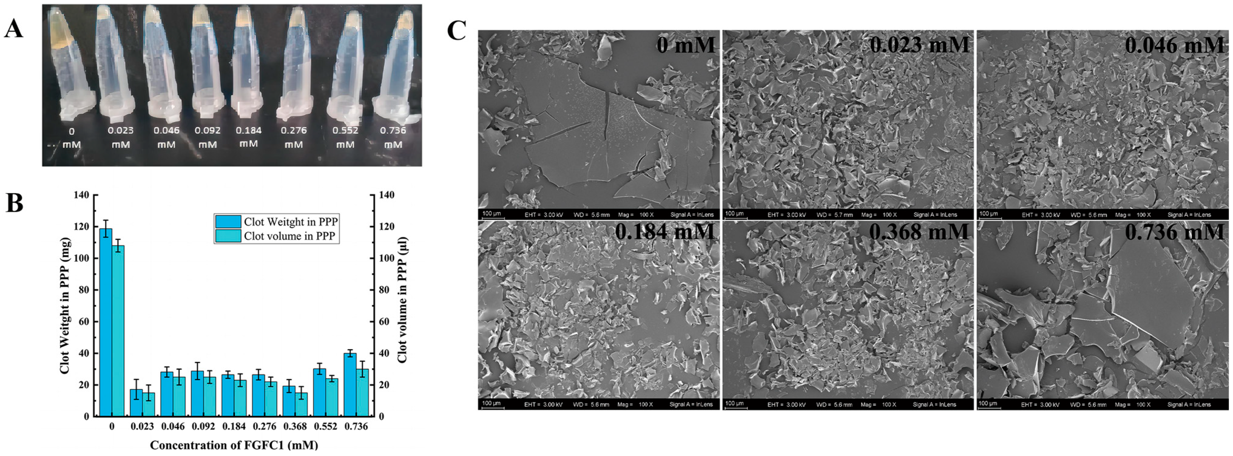 Pharmaceuticals 17 01401 g004