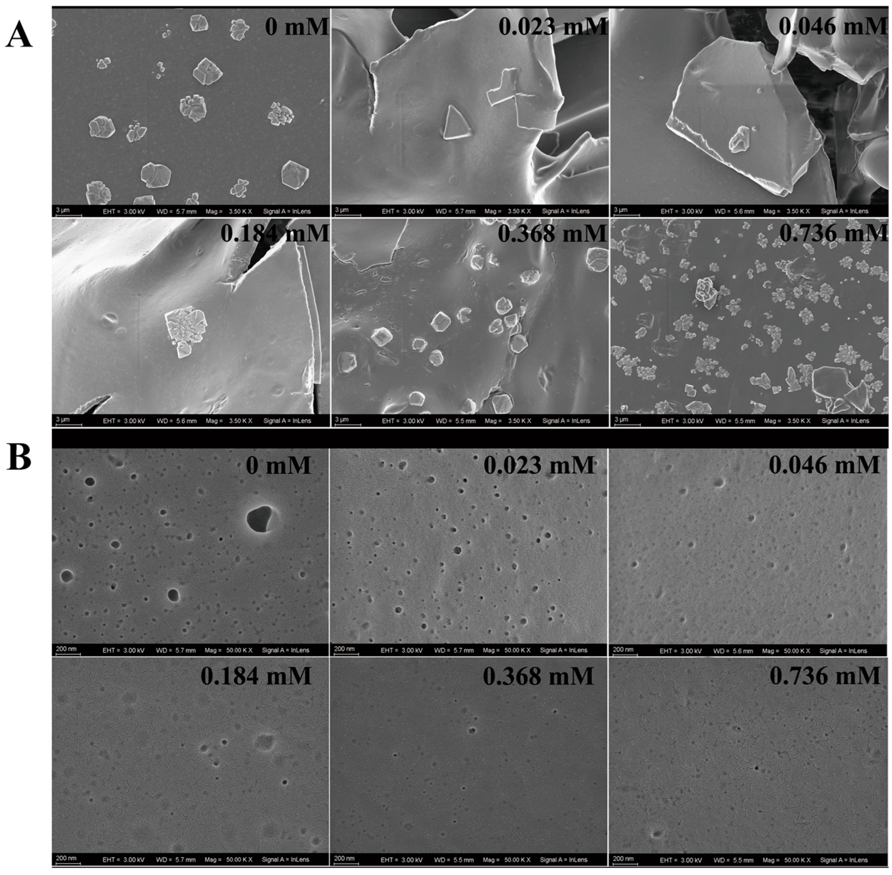 Pharmaceuticals 17 01401 g006