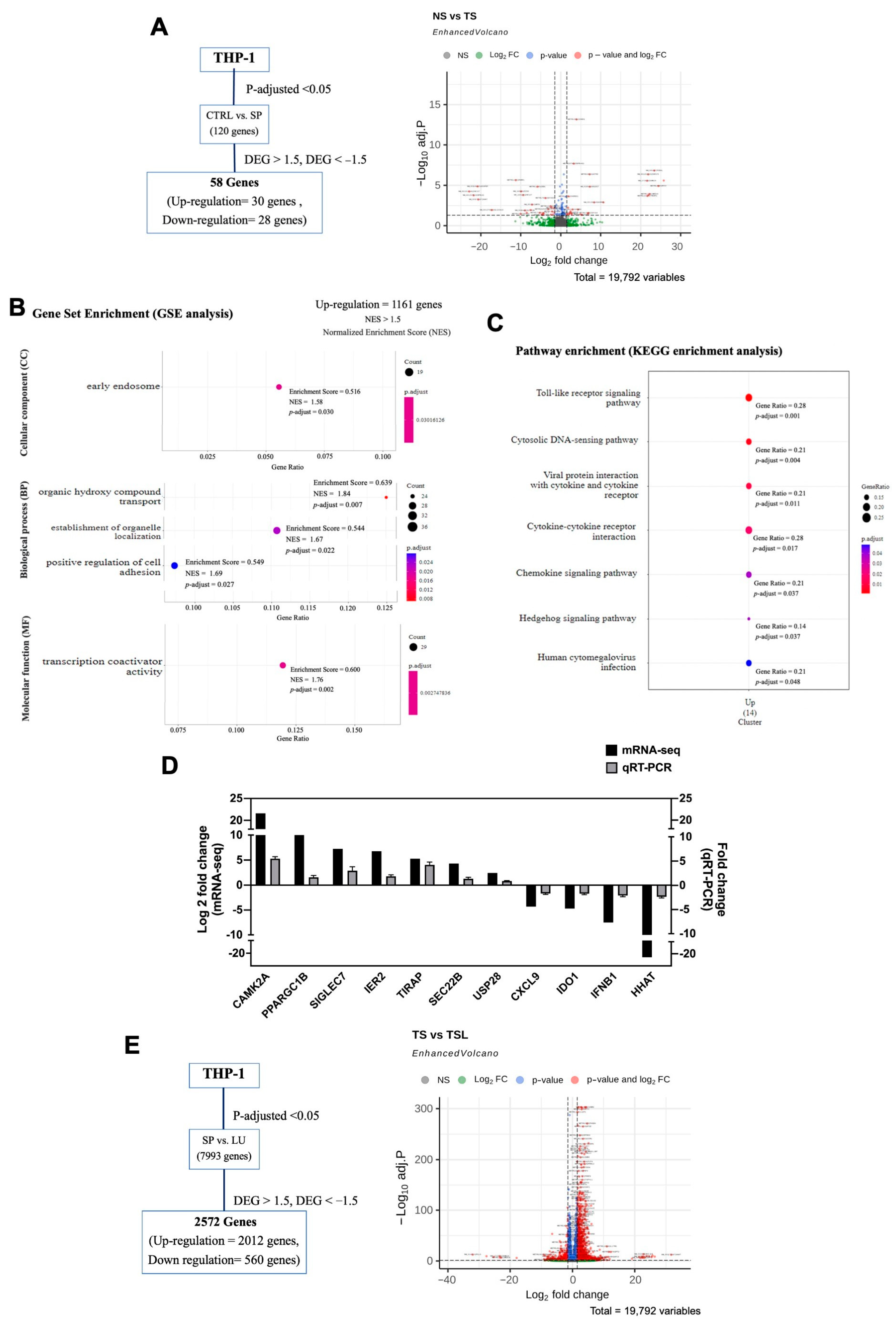 Pharmaceuticals 17 01402 g002 Pharmaceuticals 17 01402 g002
