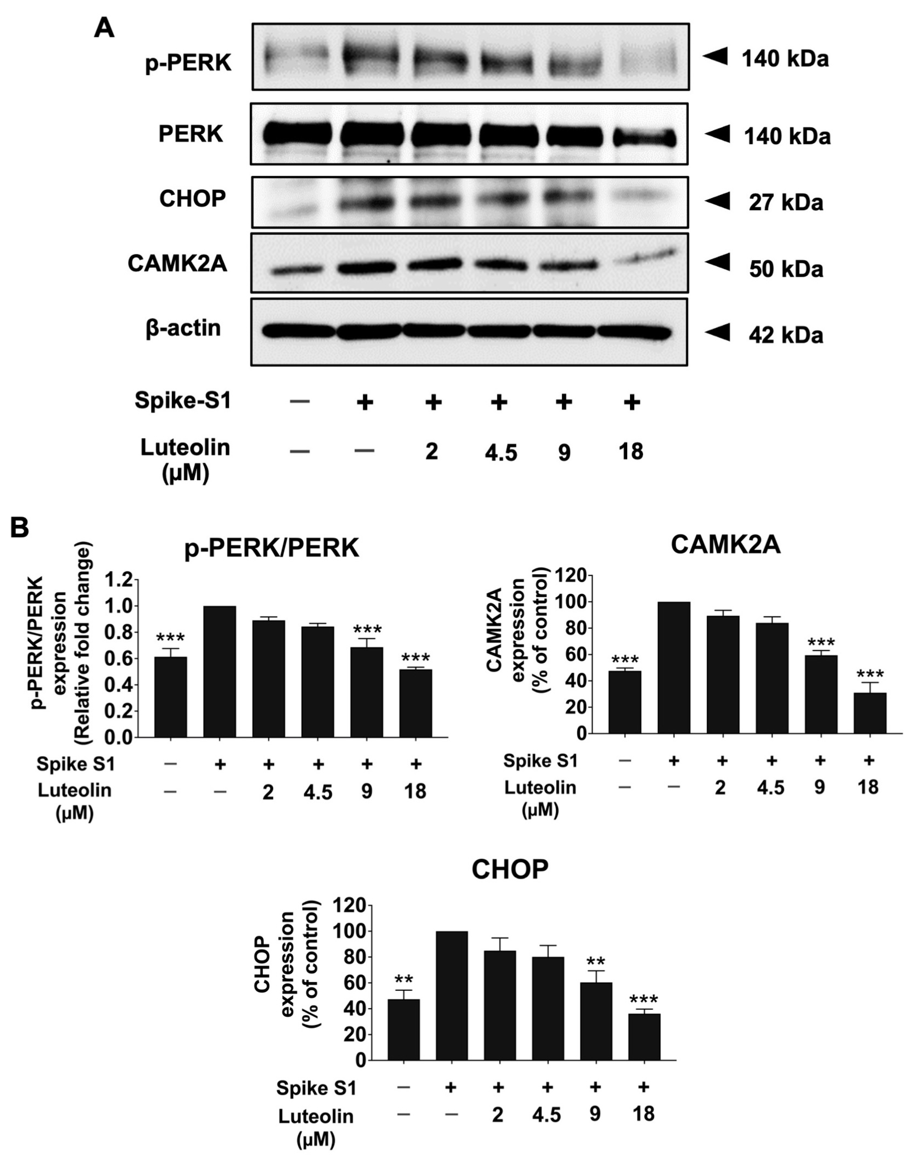 Pharmaceuticals 17 01402 g003 Pharmaceuticals 17 01402 g003