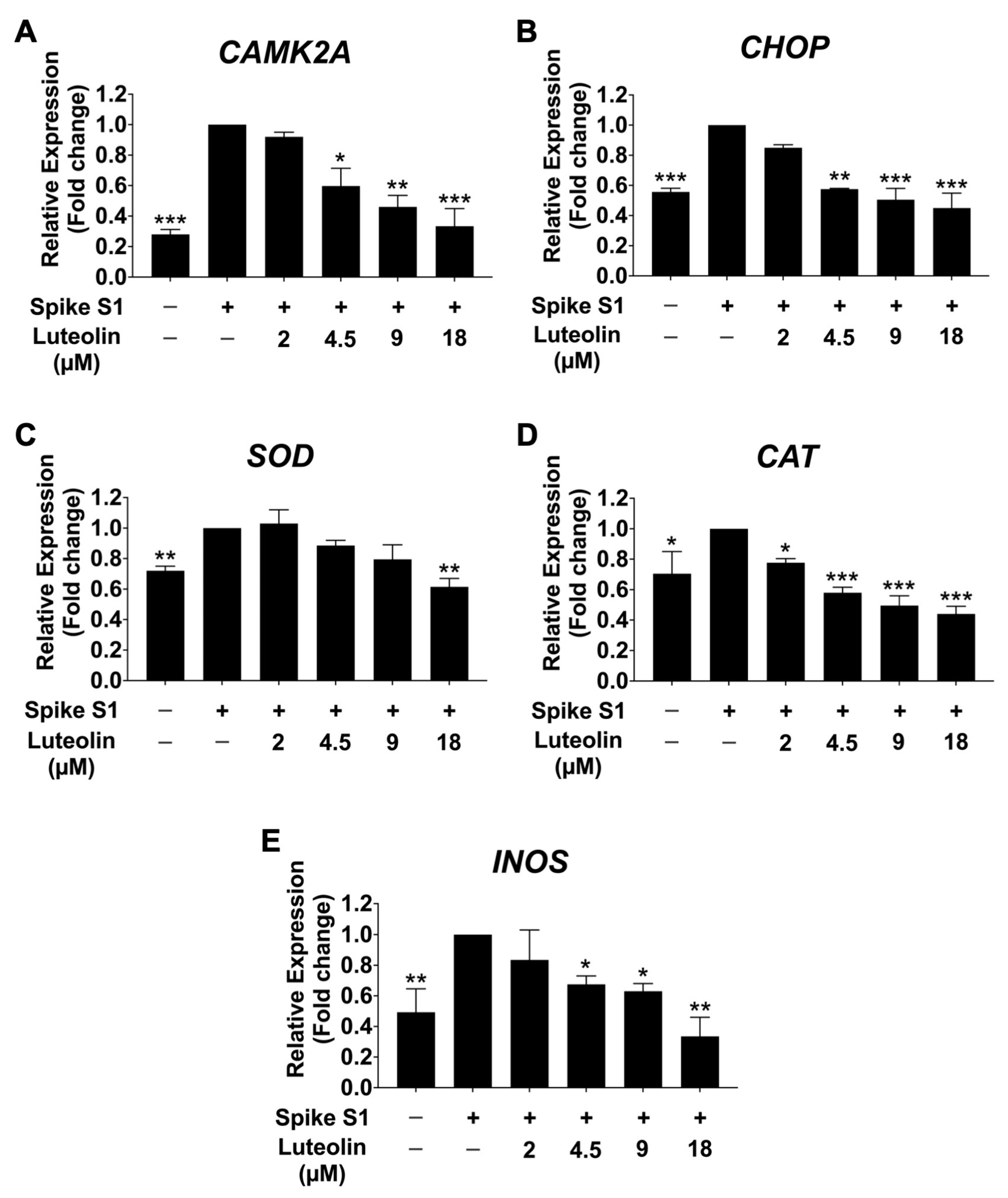 Pharmaceuticals 17 01402 g004 Pharmaceuticals 17 01402 g004