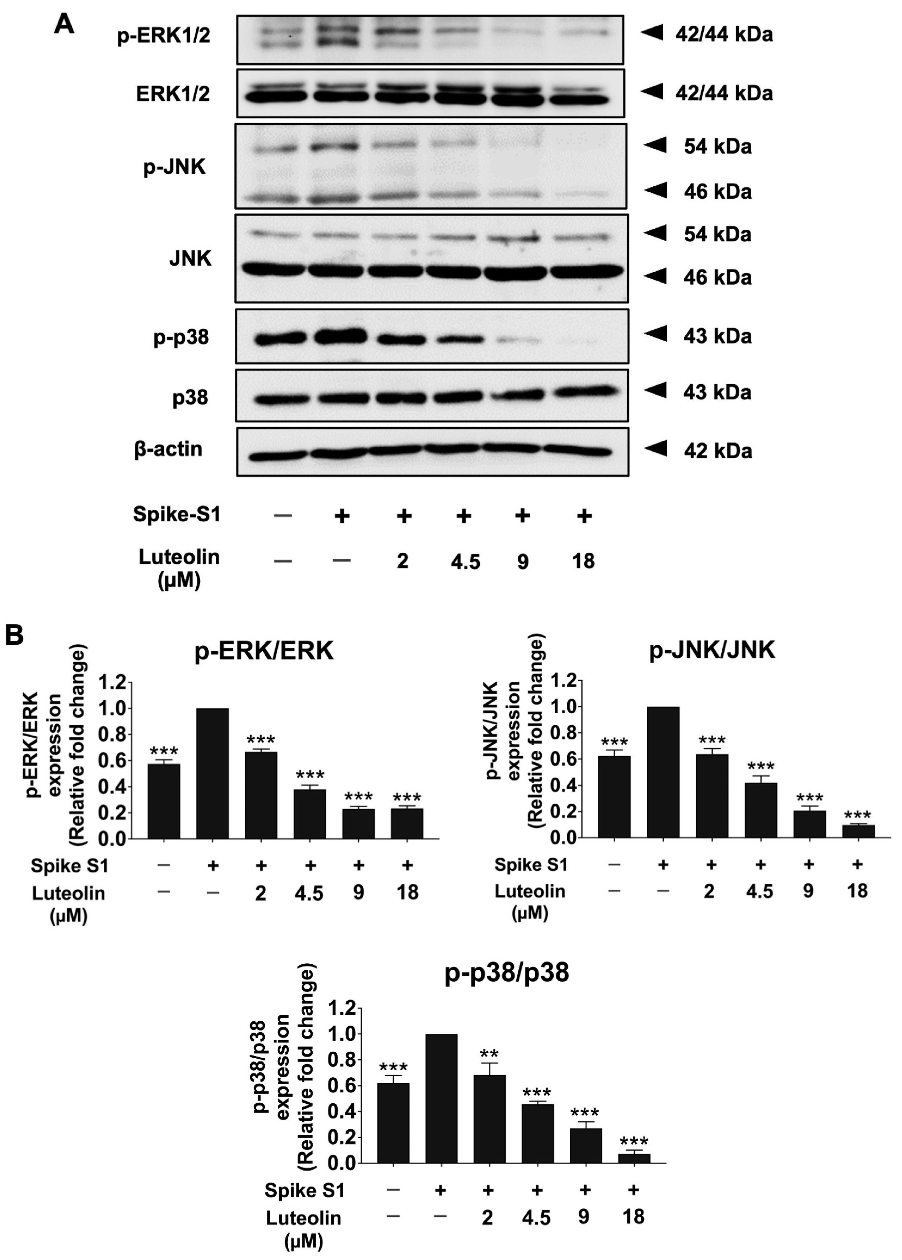 Pharmaceuticals 17 01402 g007 Pharmaceuticals 17 01402 g007