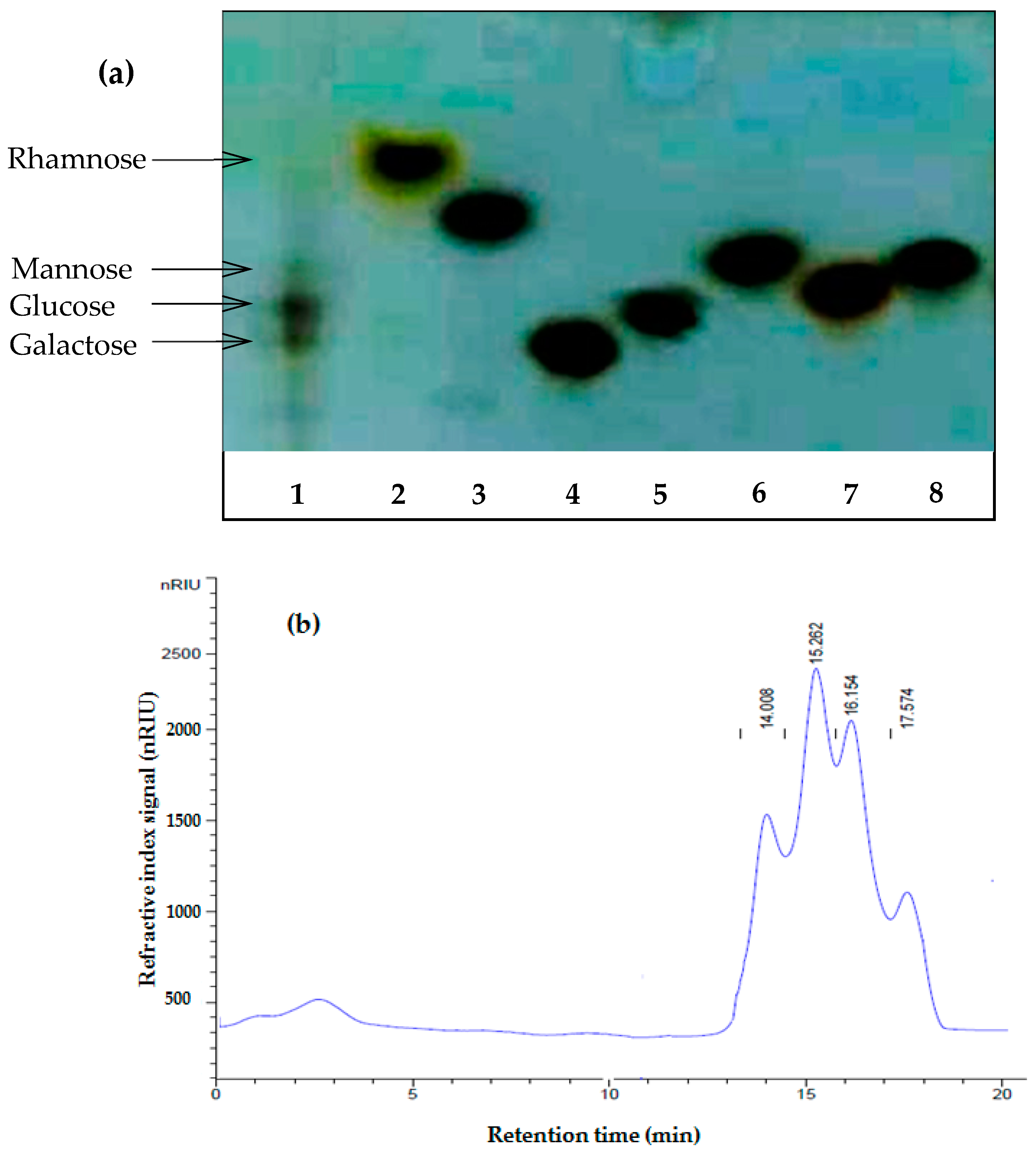Pharmaceuticals 17 01410 g003