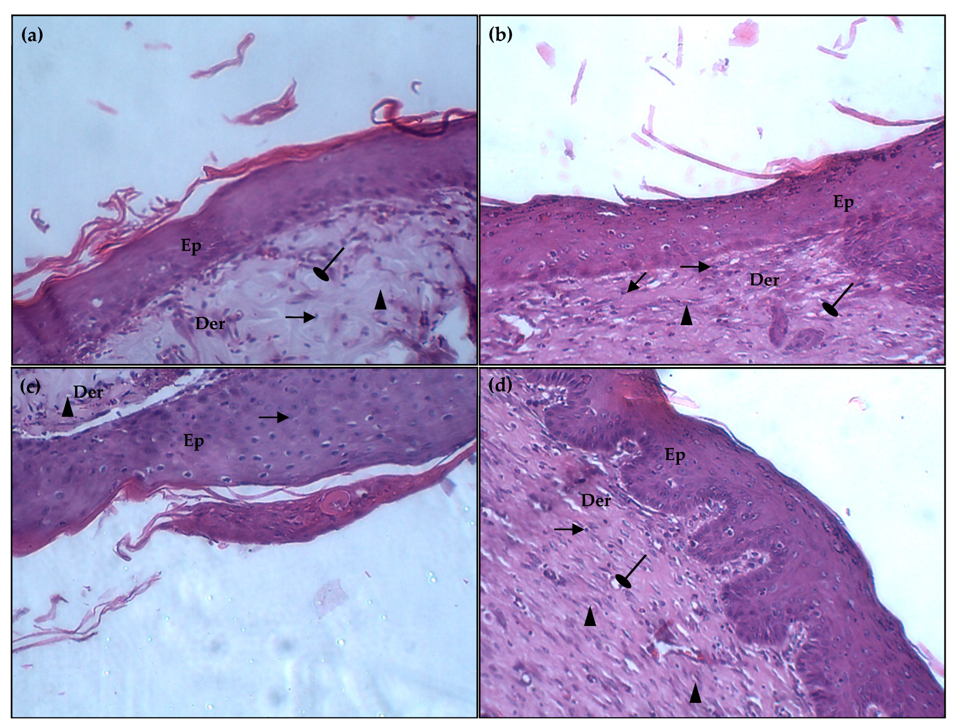 Pharmaceuticals 17 01410 g009
