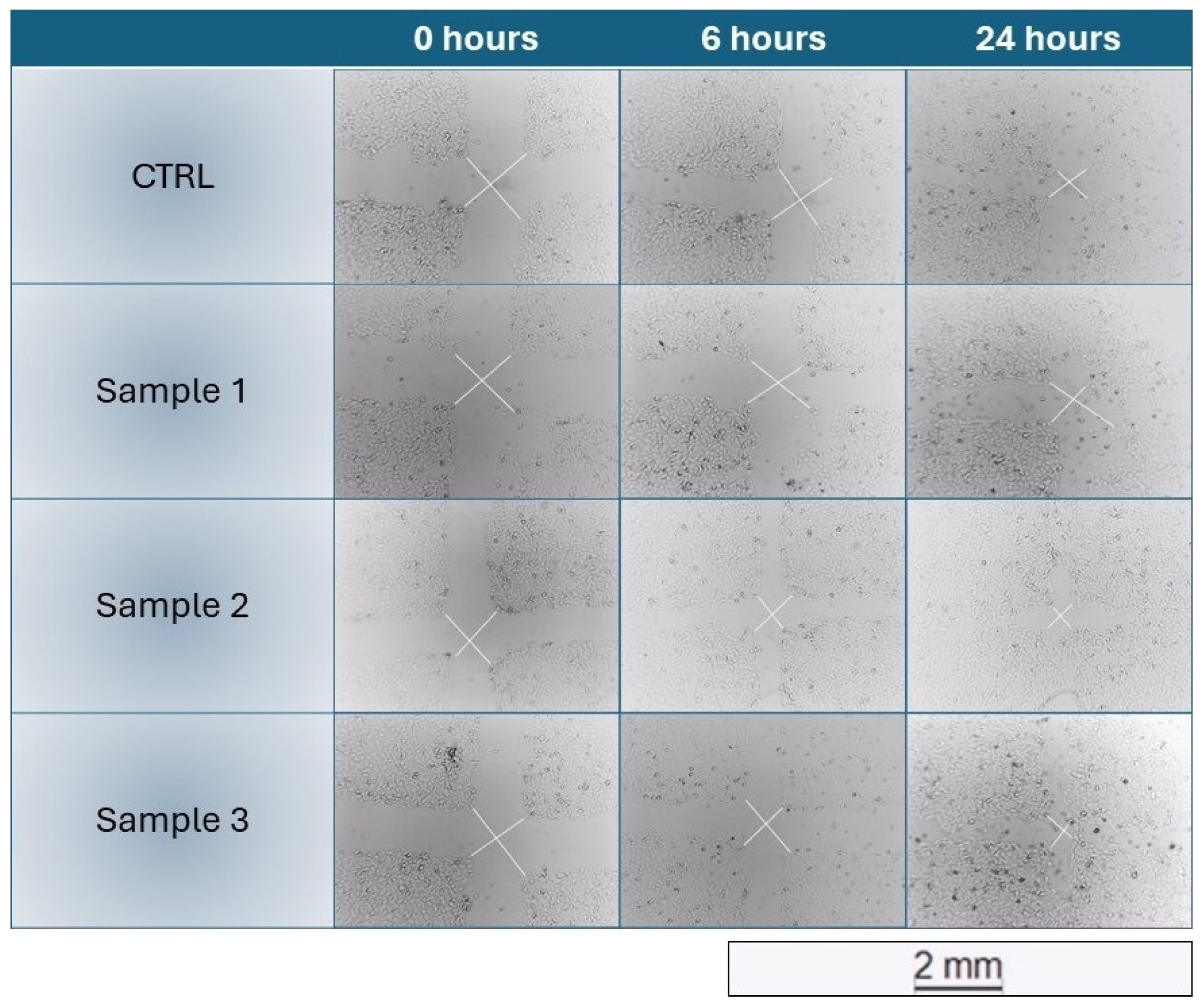 Pharmaceuticals 17 01412 g002
