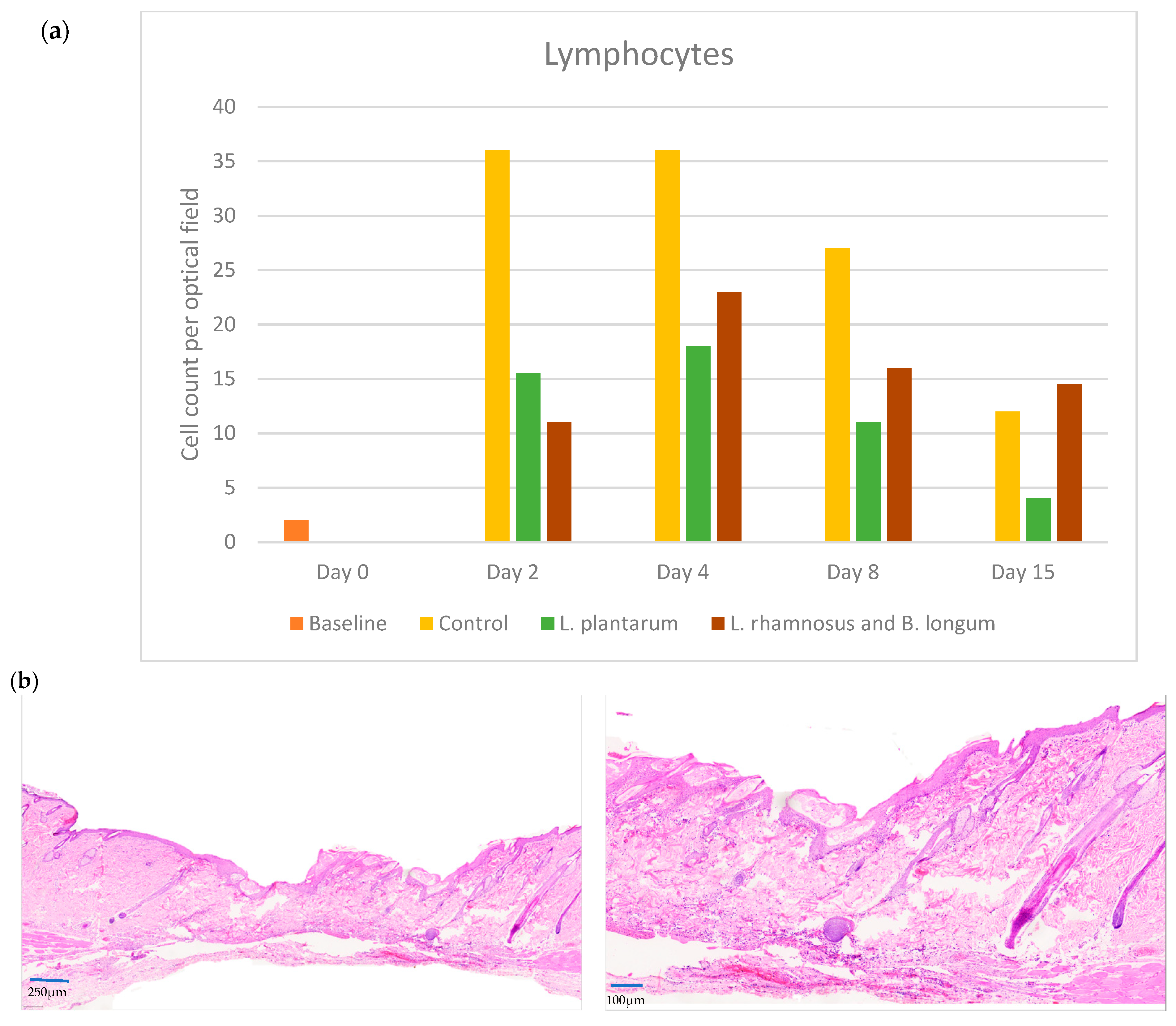 Pharmaceuticals 17 01414 g003a