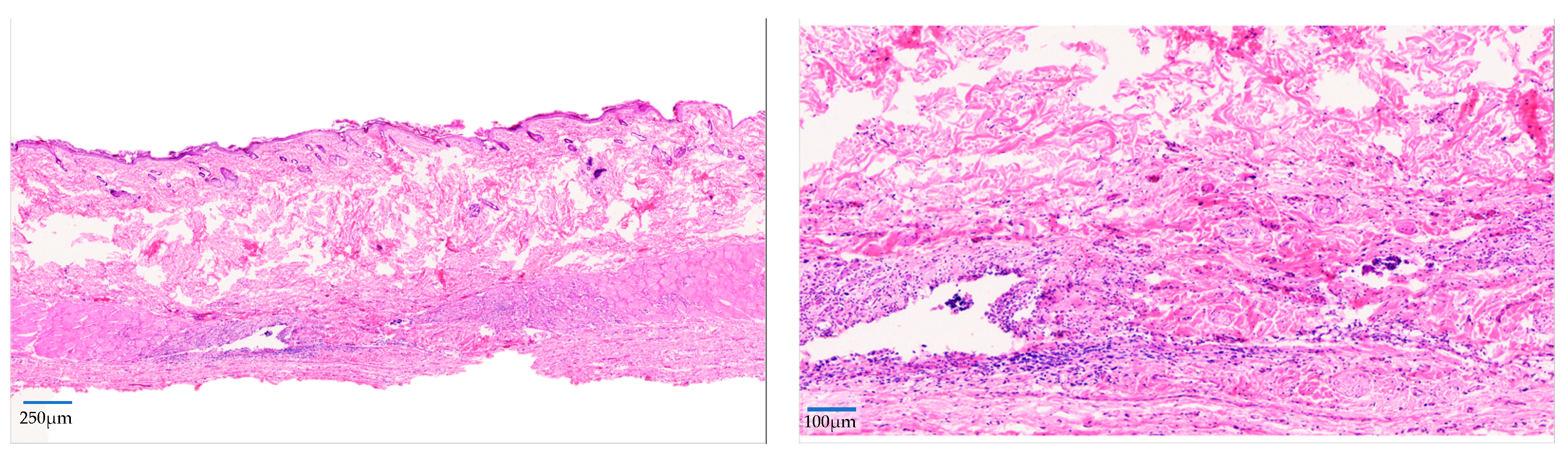 Pharmaceuticals 17 01414 g003b