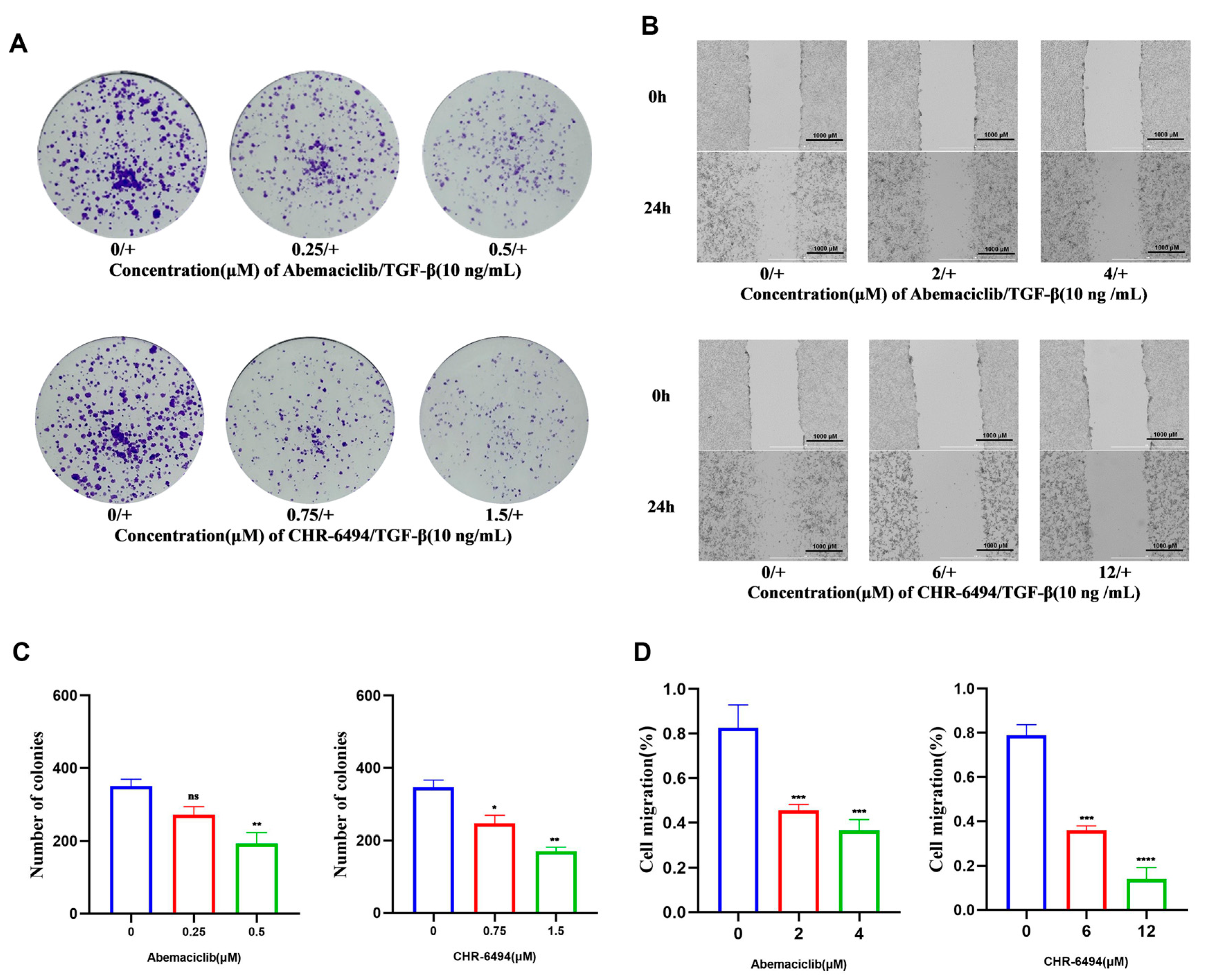 Pharmaceuticals 17 01420 g007 Pharmaceuticals 17 01420 g007