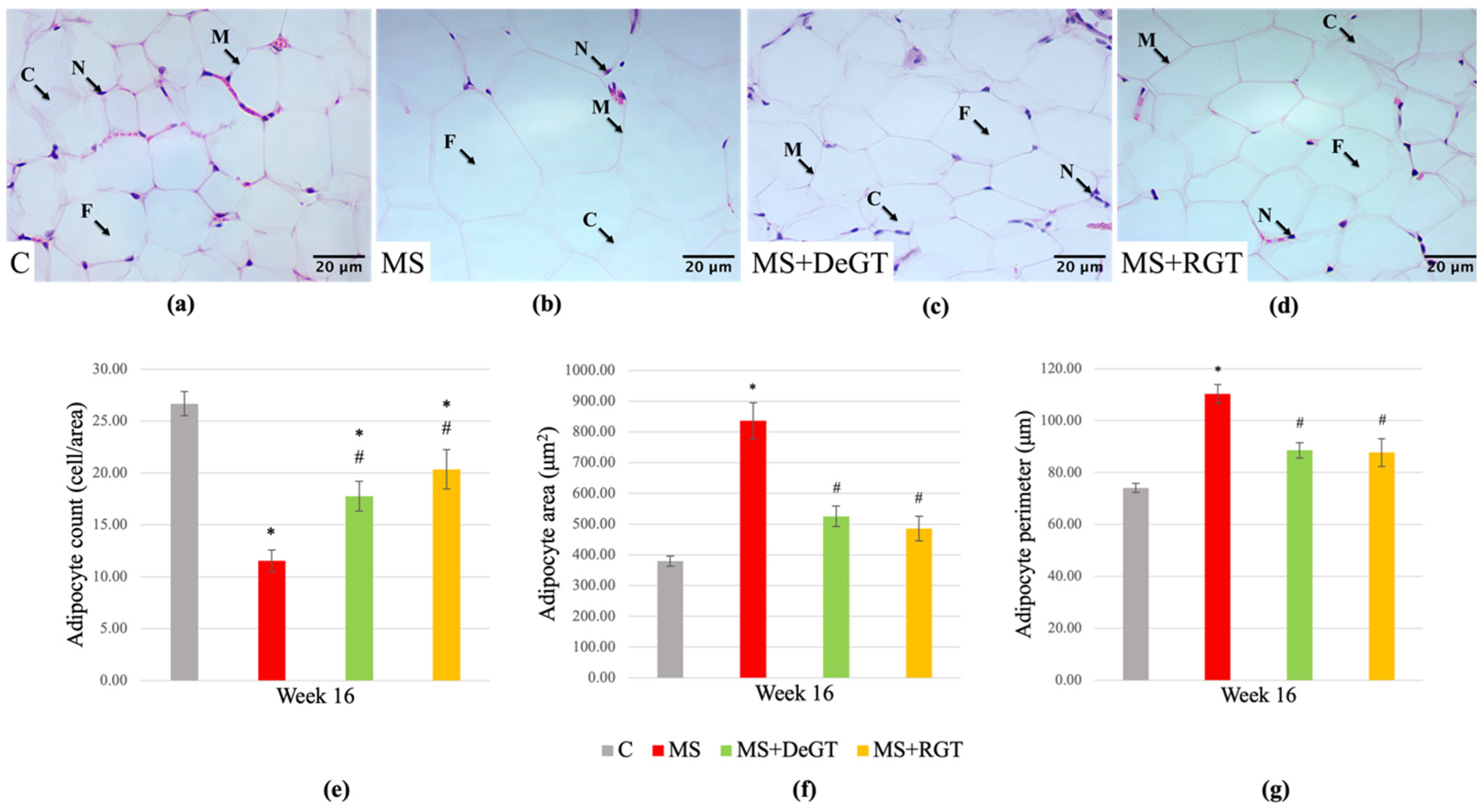 Pharmaceuticals 17 01427 g009
