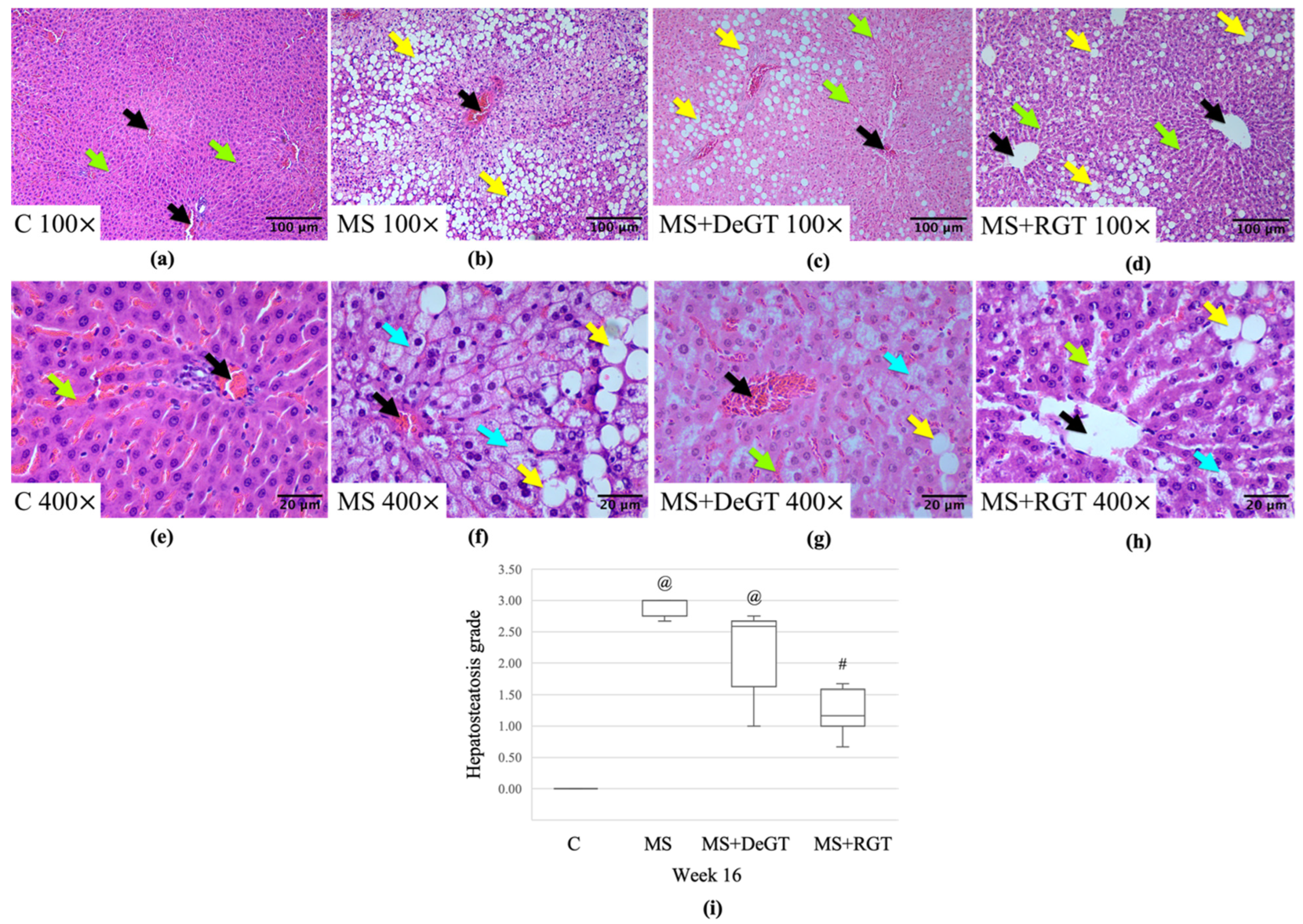 Pharmaceuticals 17 01427 g010