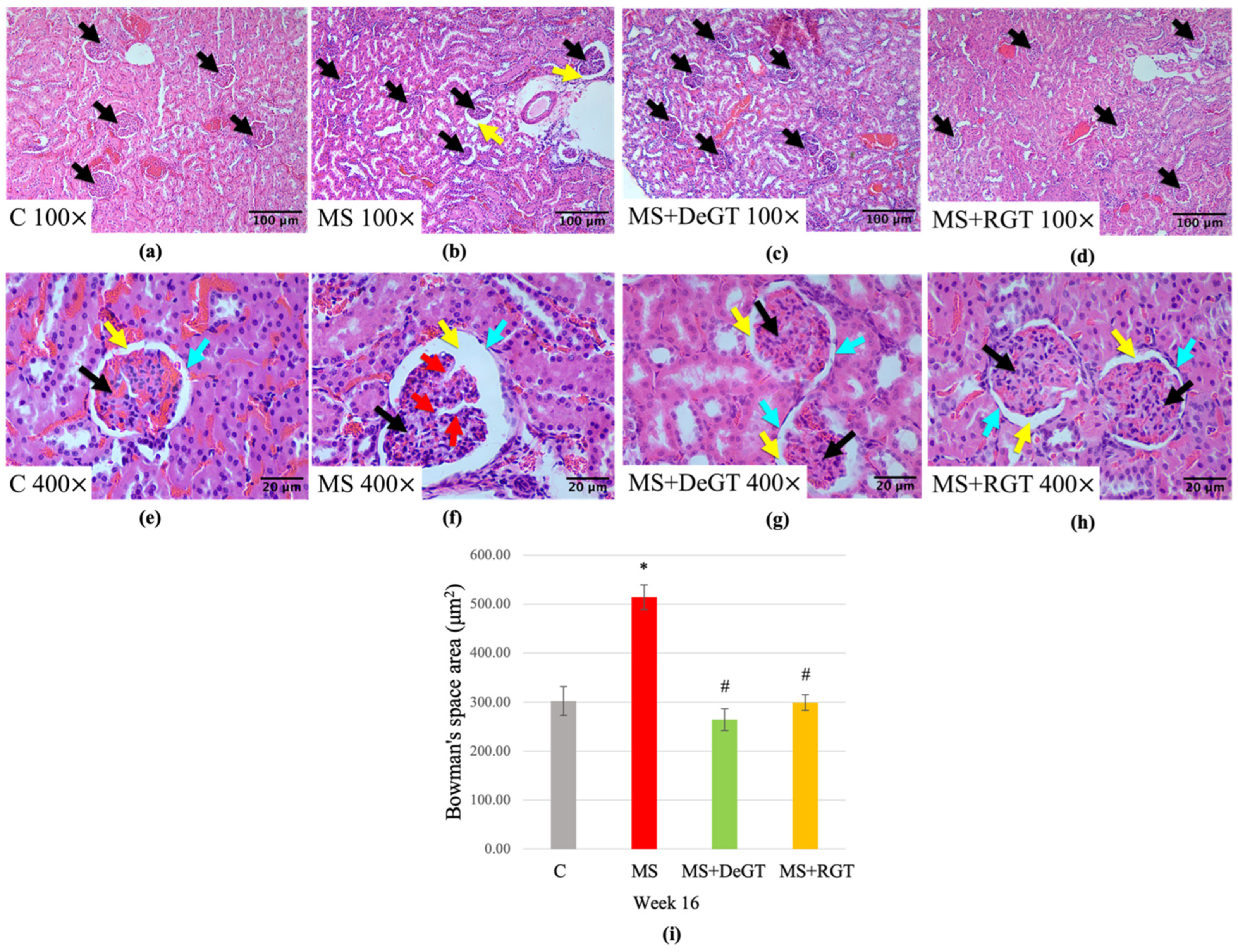 Pharmaceuticals 17 01427 g011