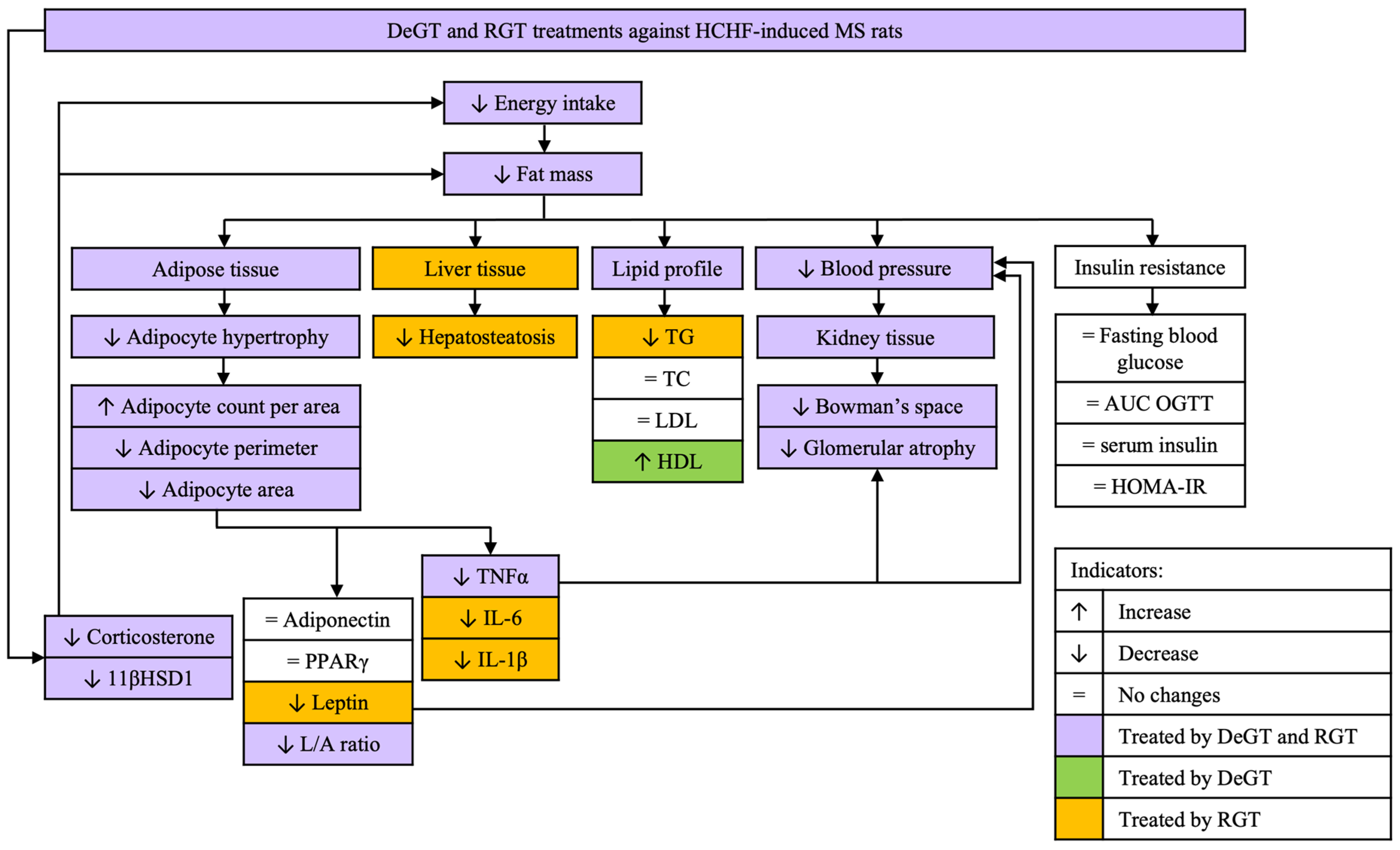 Pharmaceuticals 17 01427 g012