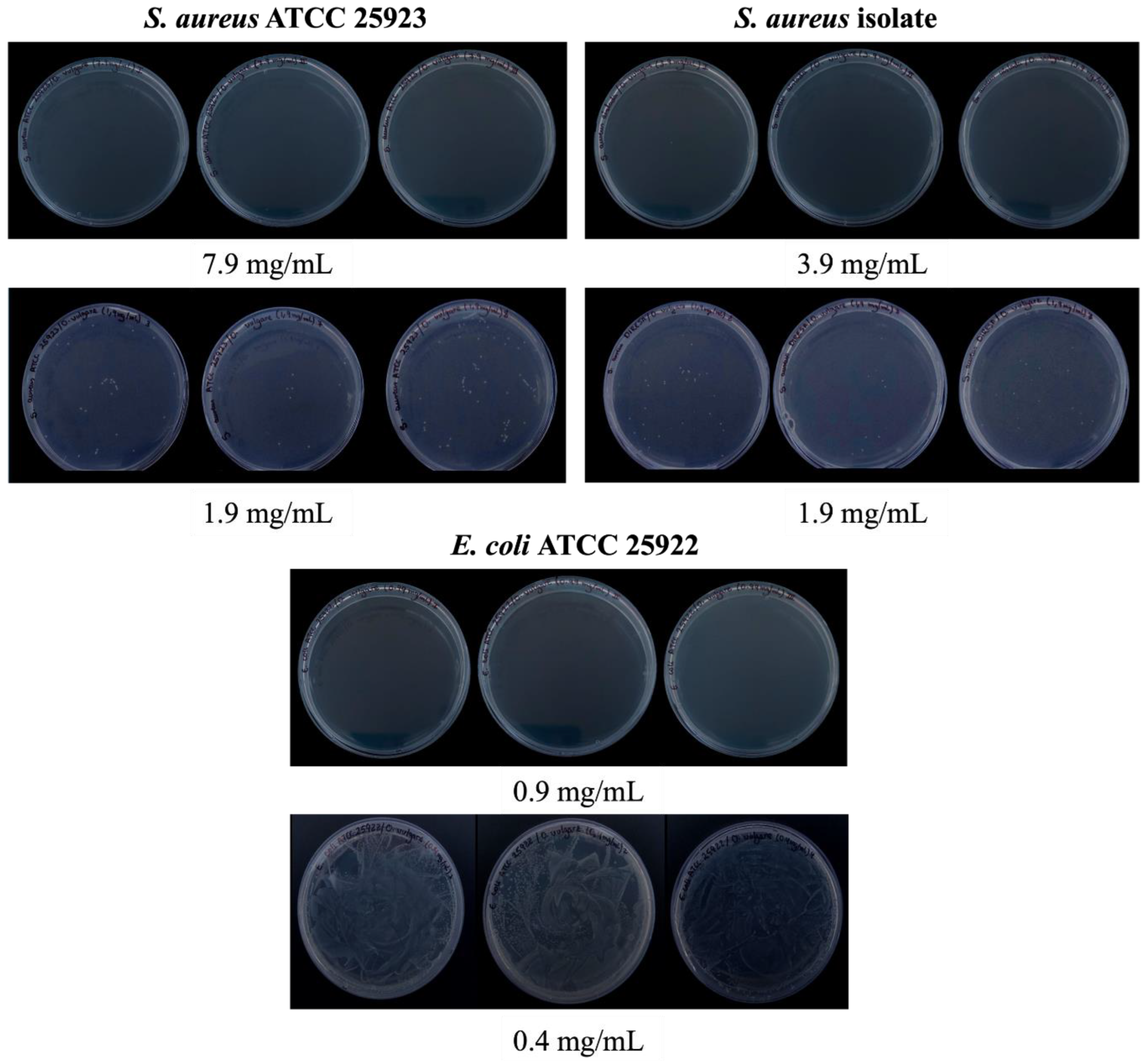 Pharmaceuticals 17 01430 g003